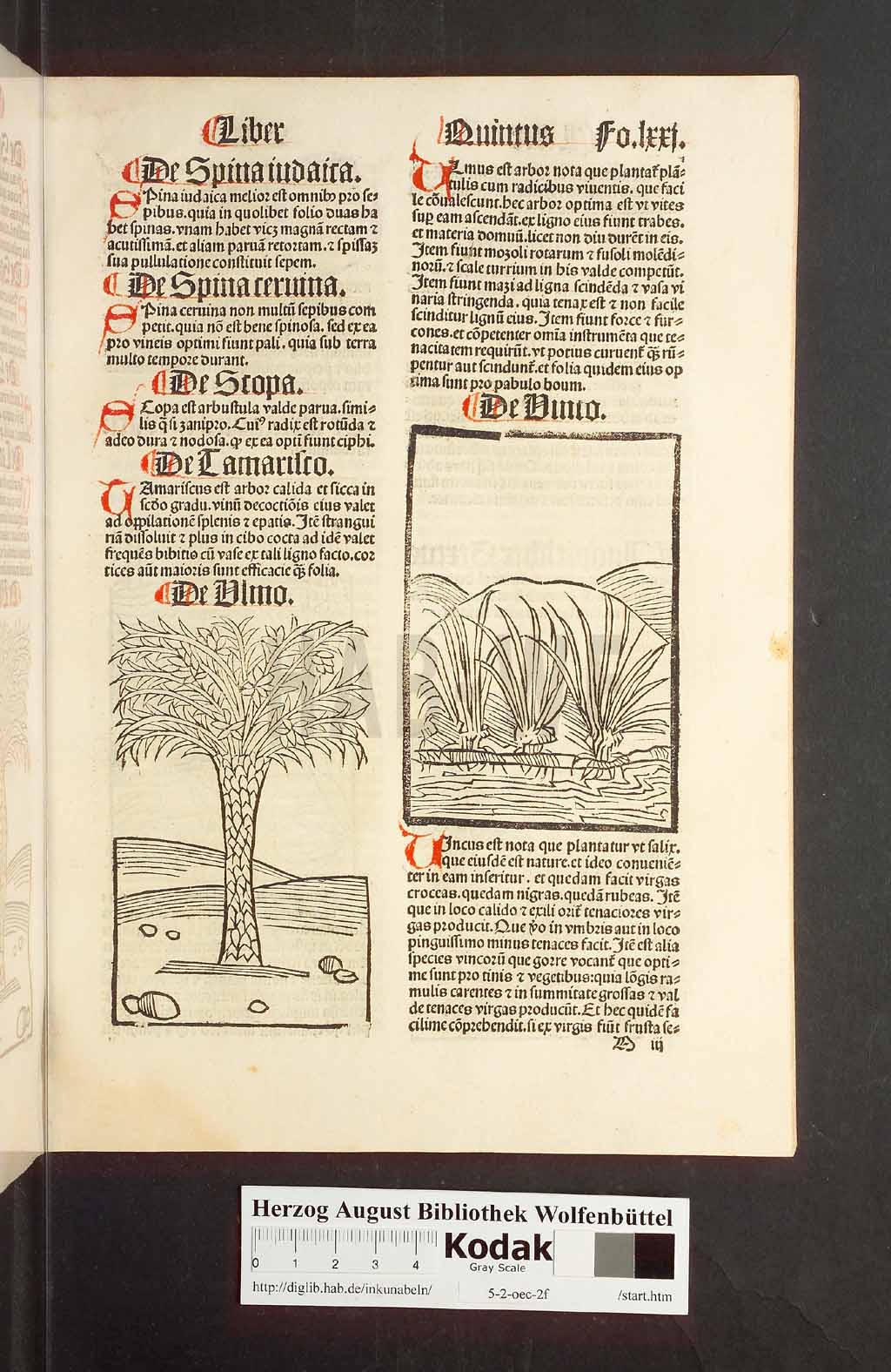 http://diglib.hab.de/inkunabeln/5-2-oec-2f/00145.jpg