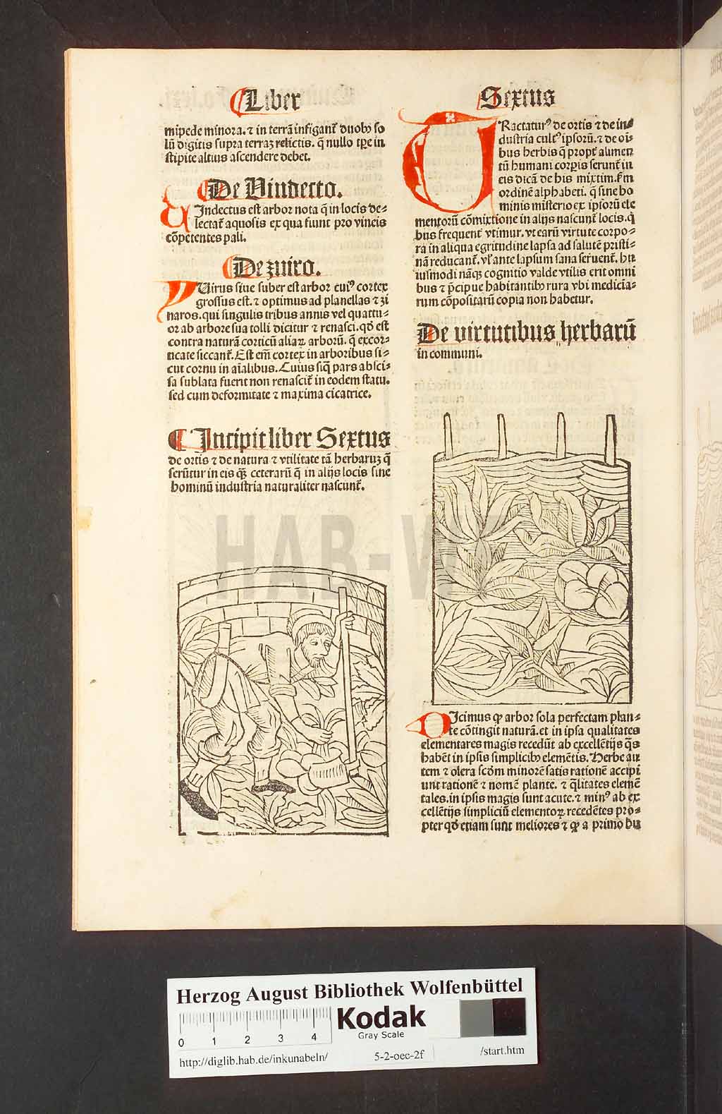 http://diglib.hab.de/inkunabeln/5-2-oec-2f/00146.jpg