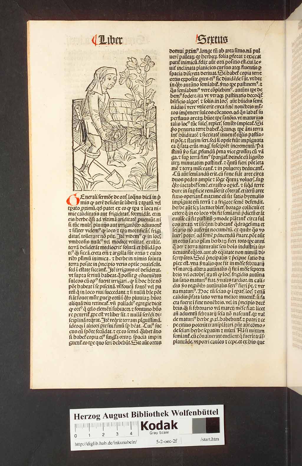 http://diglib.hab.de/inkunabeln/5-2-oec-2f/00148.jpg