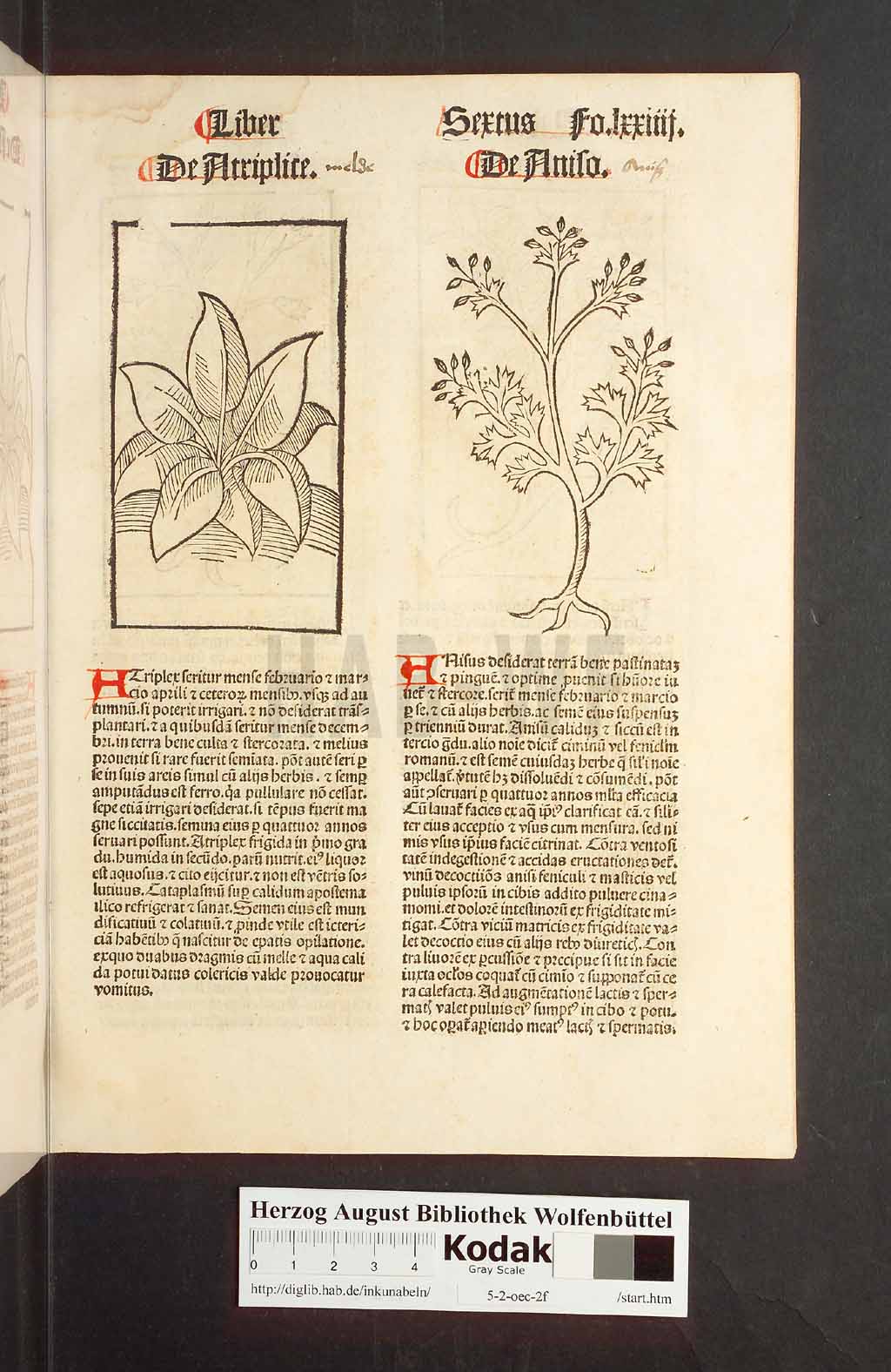 http://diglib.hab.de/inkunabeln/5-2-oec-2f/00151.jpg