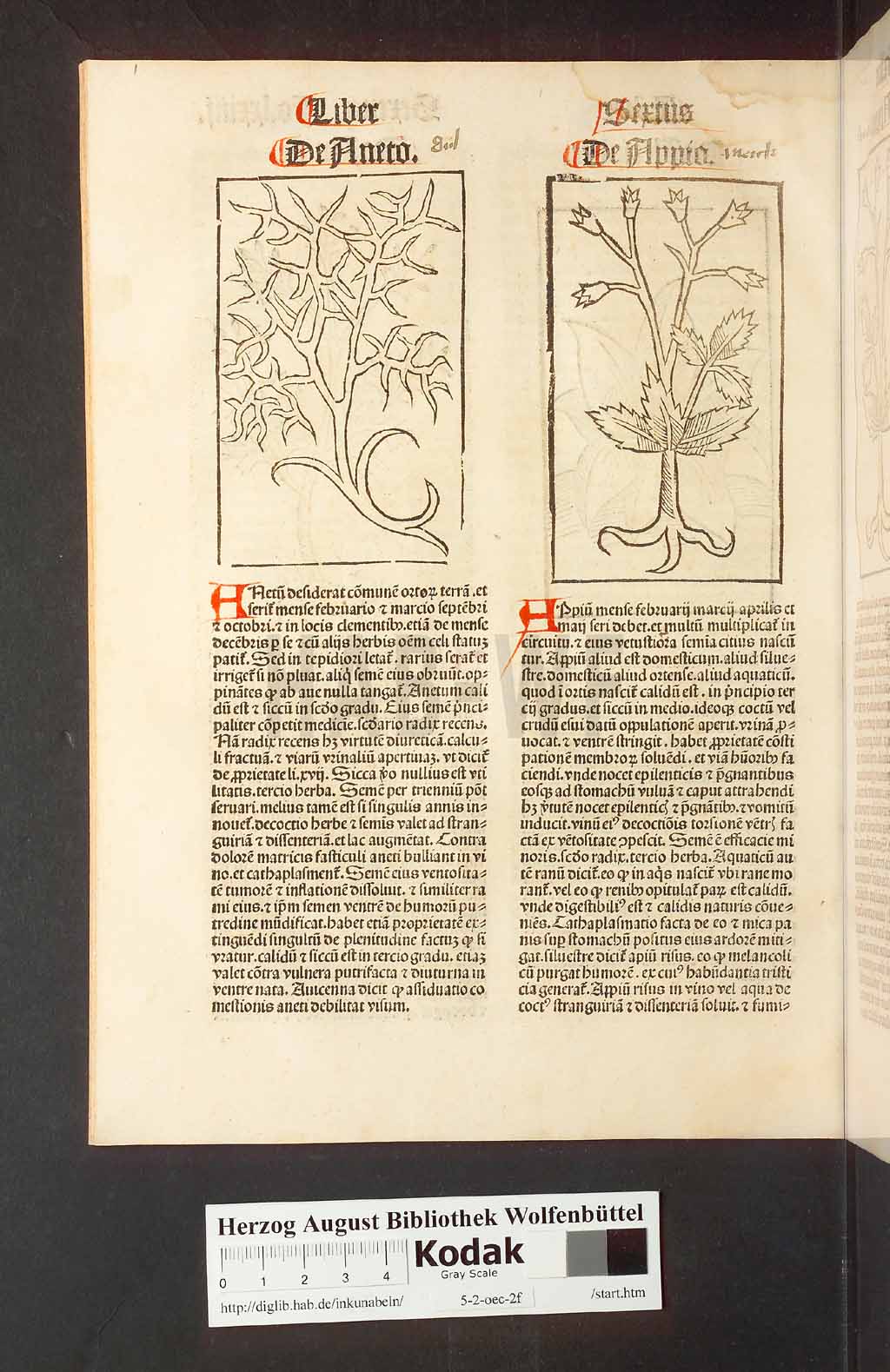 http://diglib.hab.de/inkunabeln/5-2-oec-2f/00152.jpg