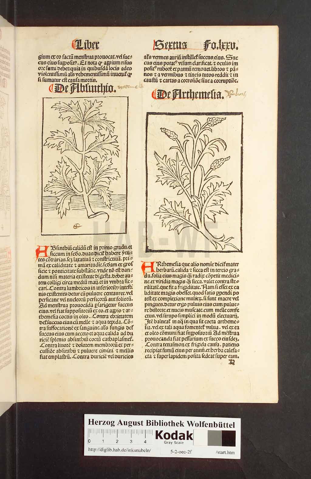 http://diglib.hab.de/inkunabeln/5-2-oec-2f/00153.jpg