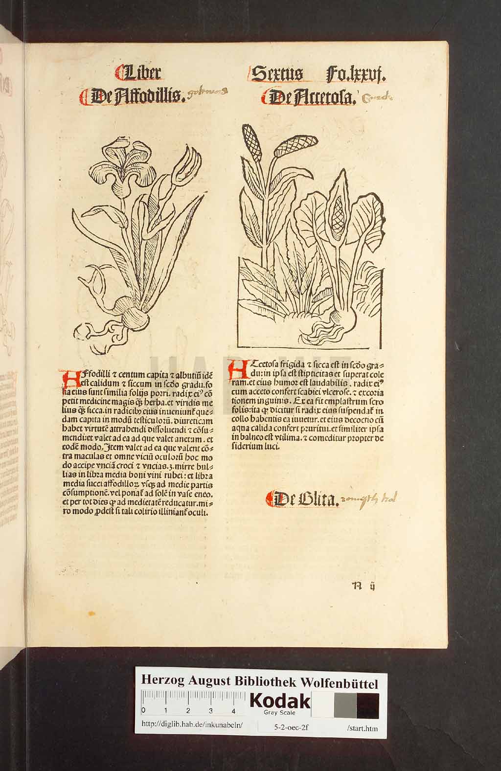 http://diglib.hab.de/inkunabeln/5-2-oec-2f/00155.jpg