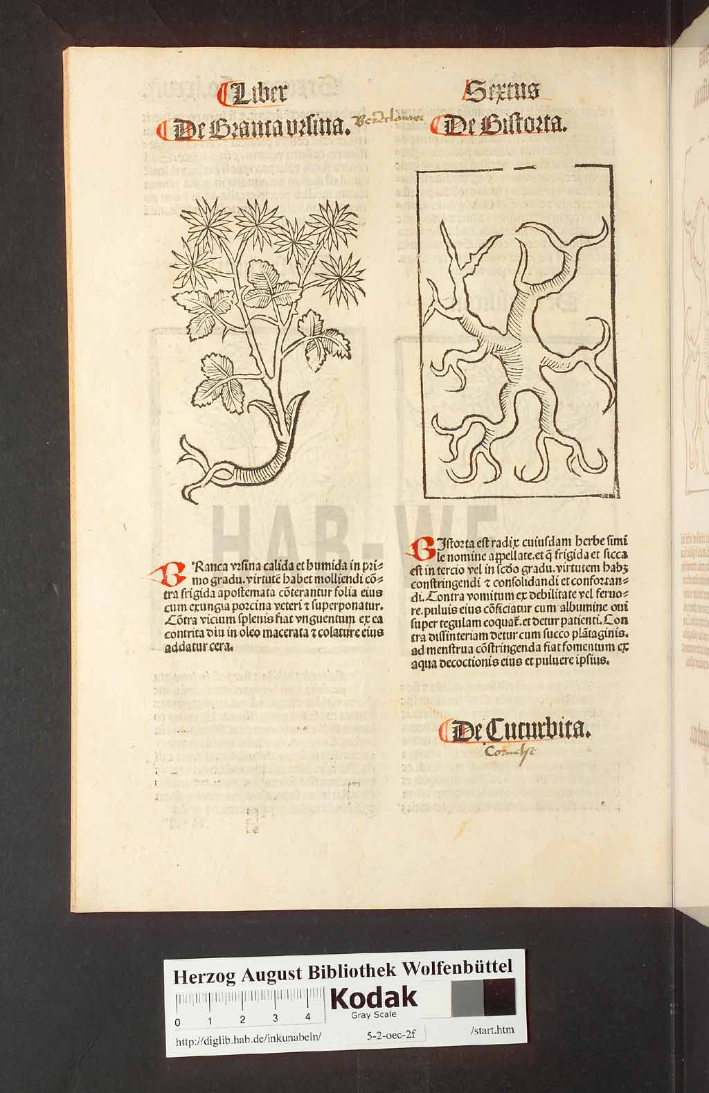 http://diglib.hab.de/inkunabeln/5-2-oec-2f/00158.jpg