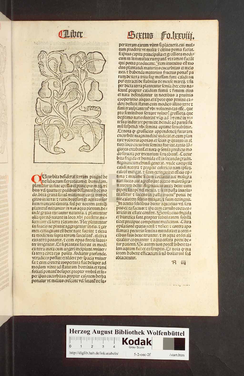 http://diglib.hab.de/inkunabeln/5-2-oec-2f/00159.jpg