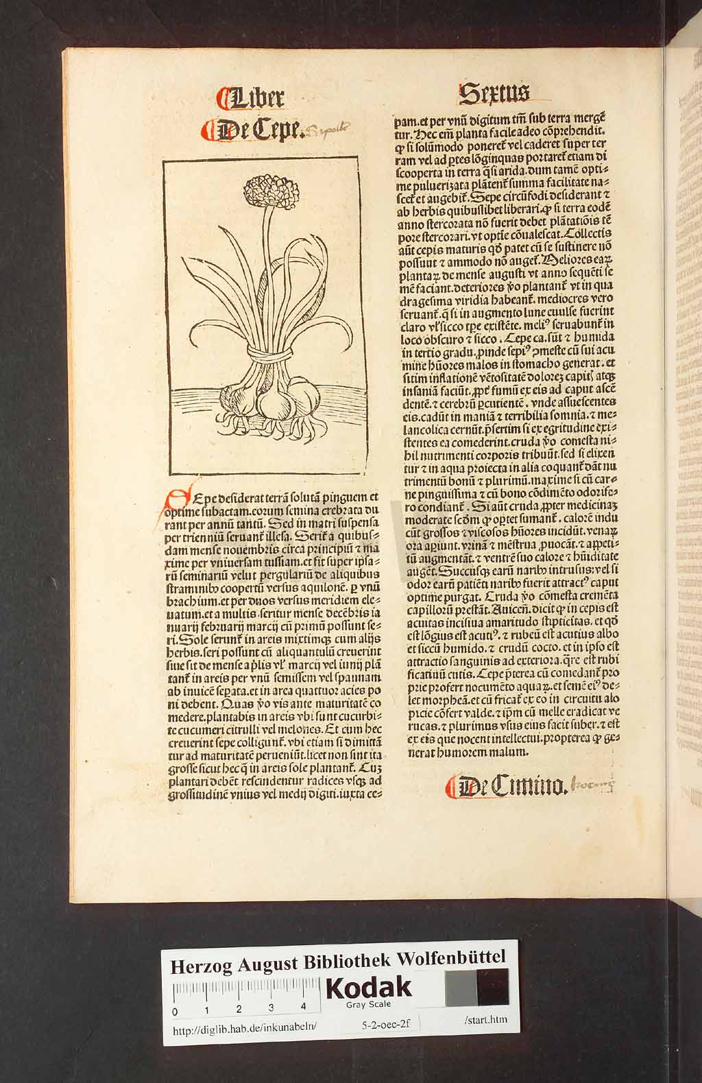 http://diglib.hab.de/inkunabeln/5-2-oec-2f/00162.jpg