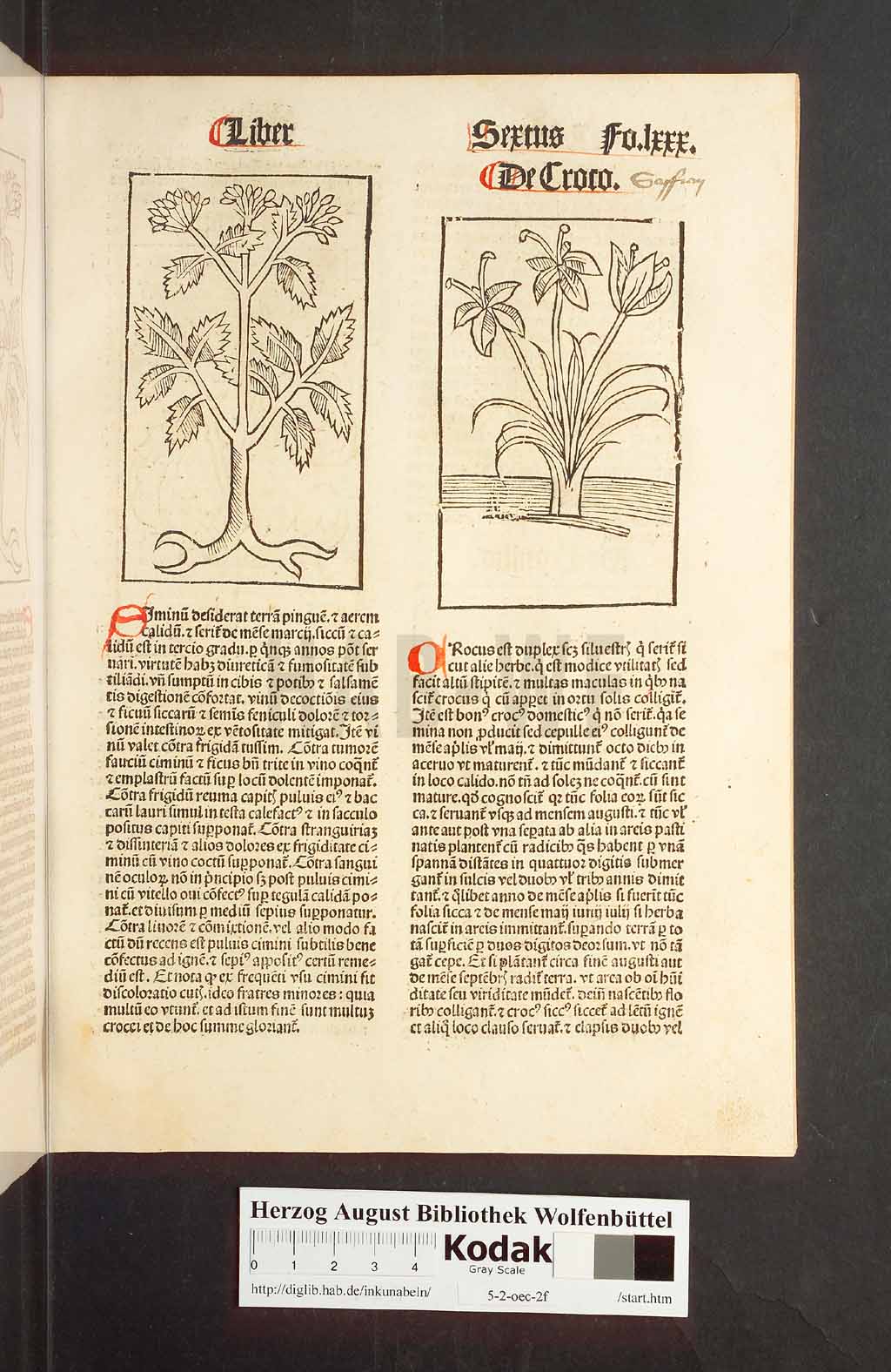 http://diglib.hab.de/inkunabeln/5-2-oec-2f/00163.jpg