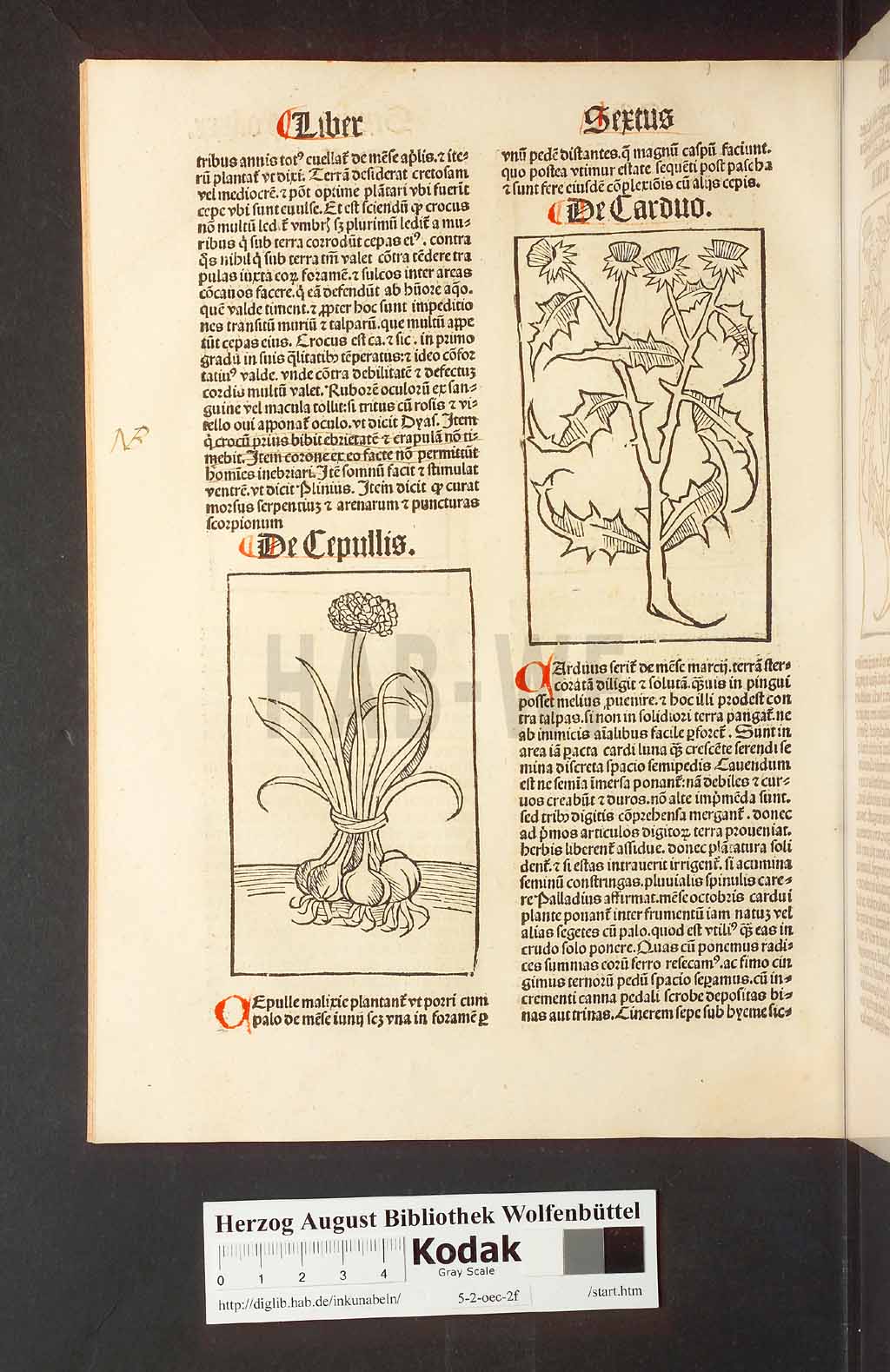 http://diglib.hab.de/inkunabeln/5-2-oec-2f/00164.jpg