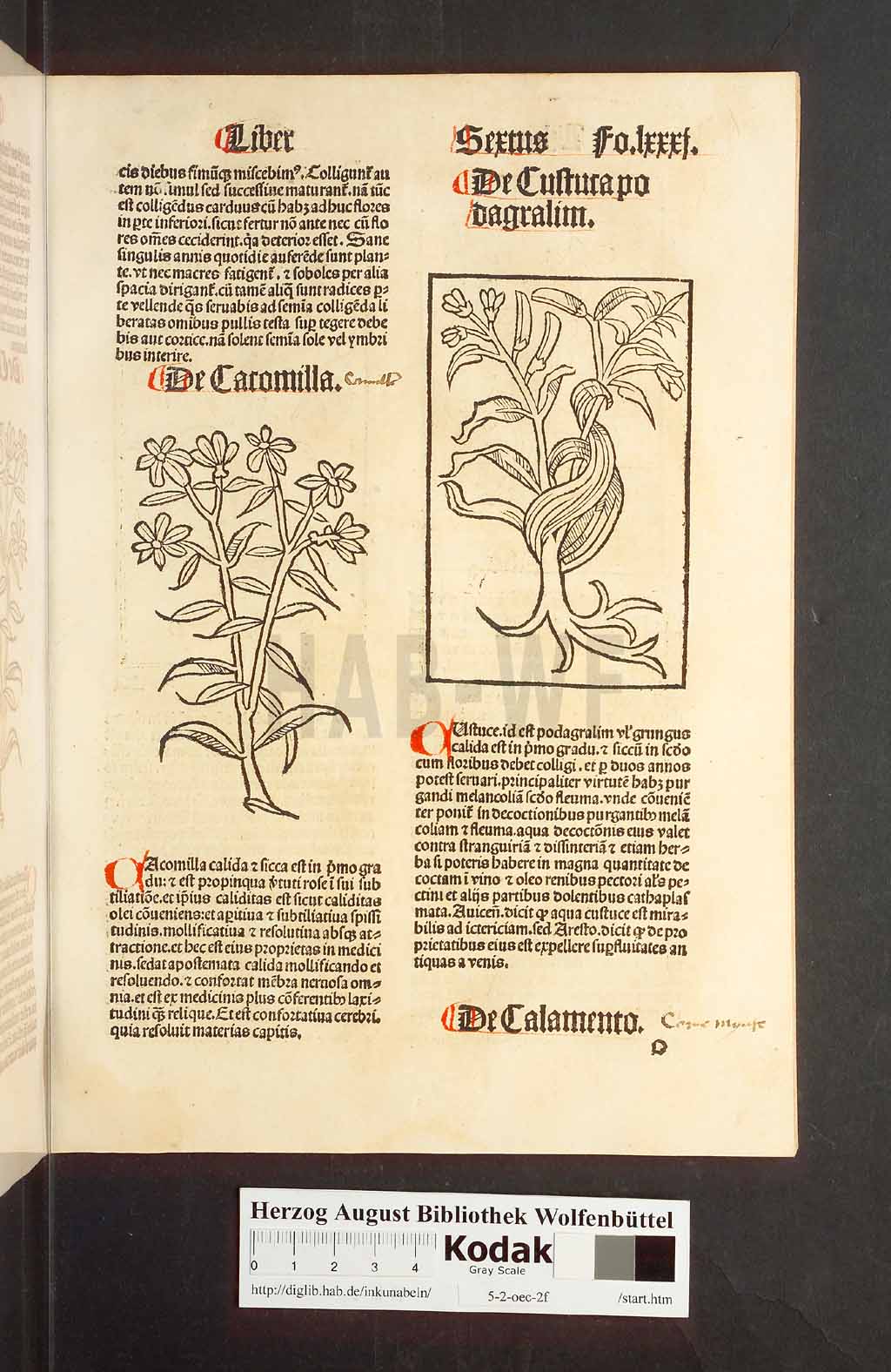 http://diglib.hab.de/inkunabeln/5-2-oec-2f/00165.jpg