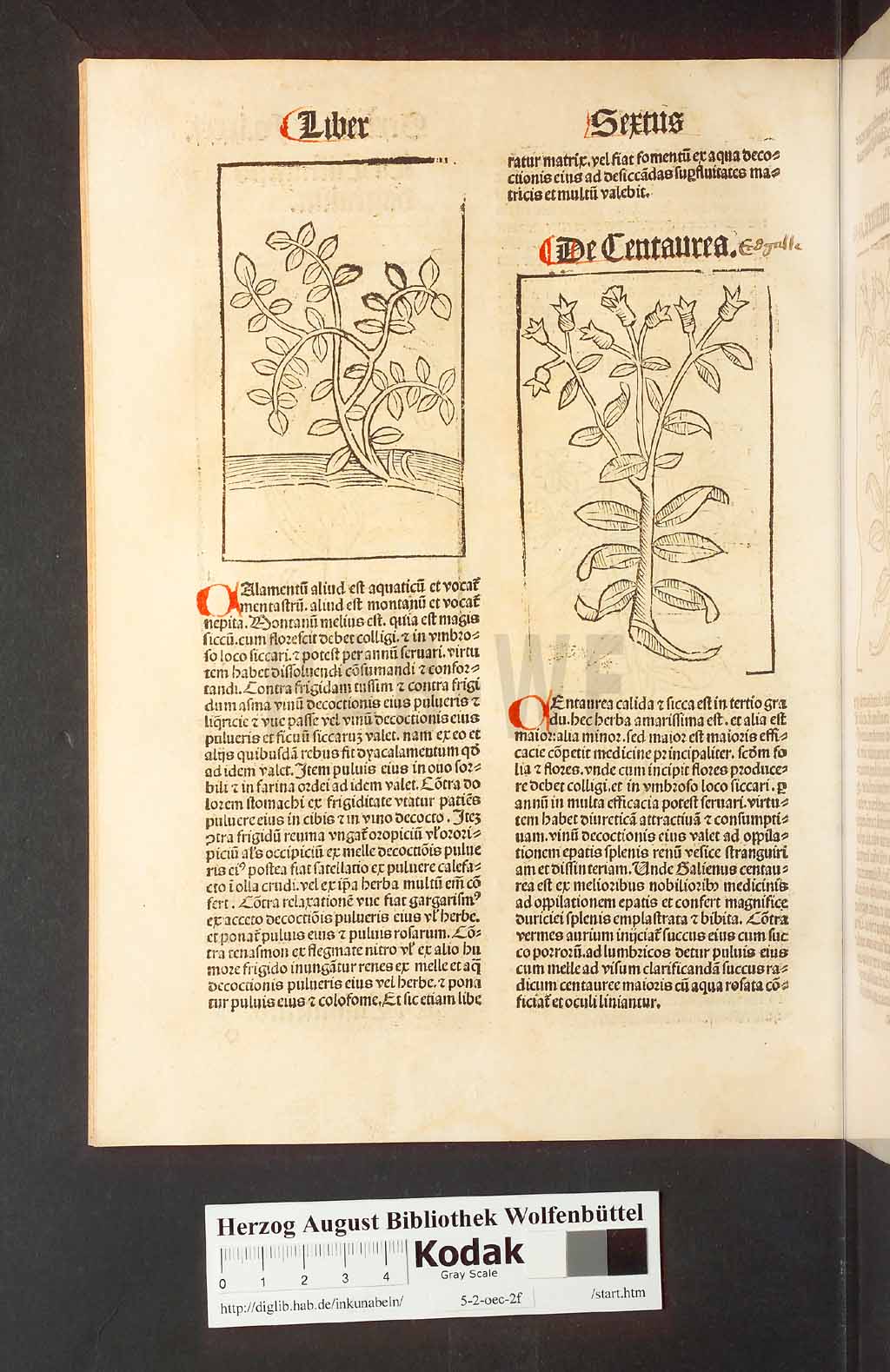 http://diglib.hab.de/inkunabeln/5-2-oec-2f/00166.jpg