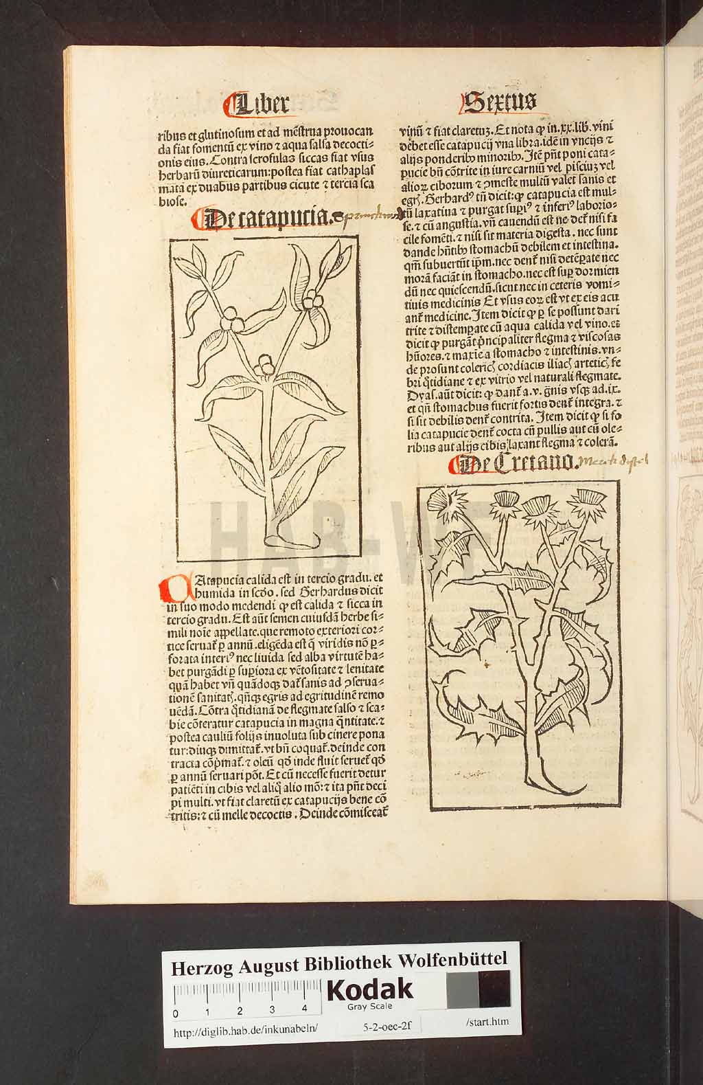 http://diglib.hab.de/inkunabeln/5-2-oec-2f/00168.jpg