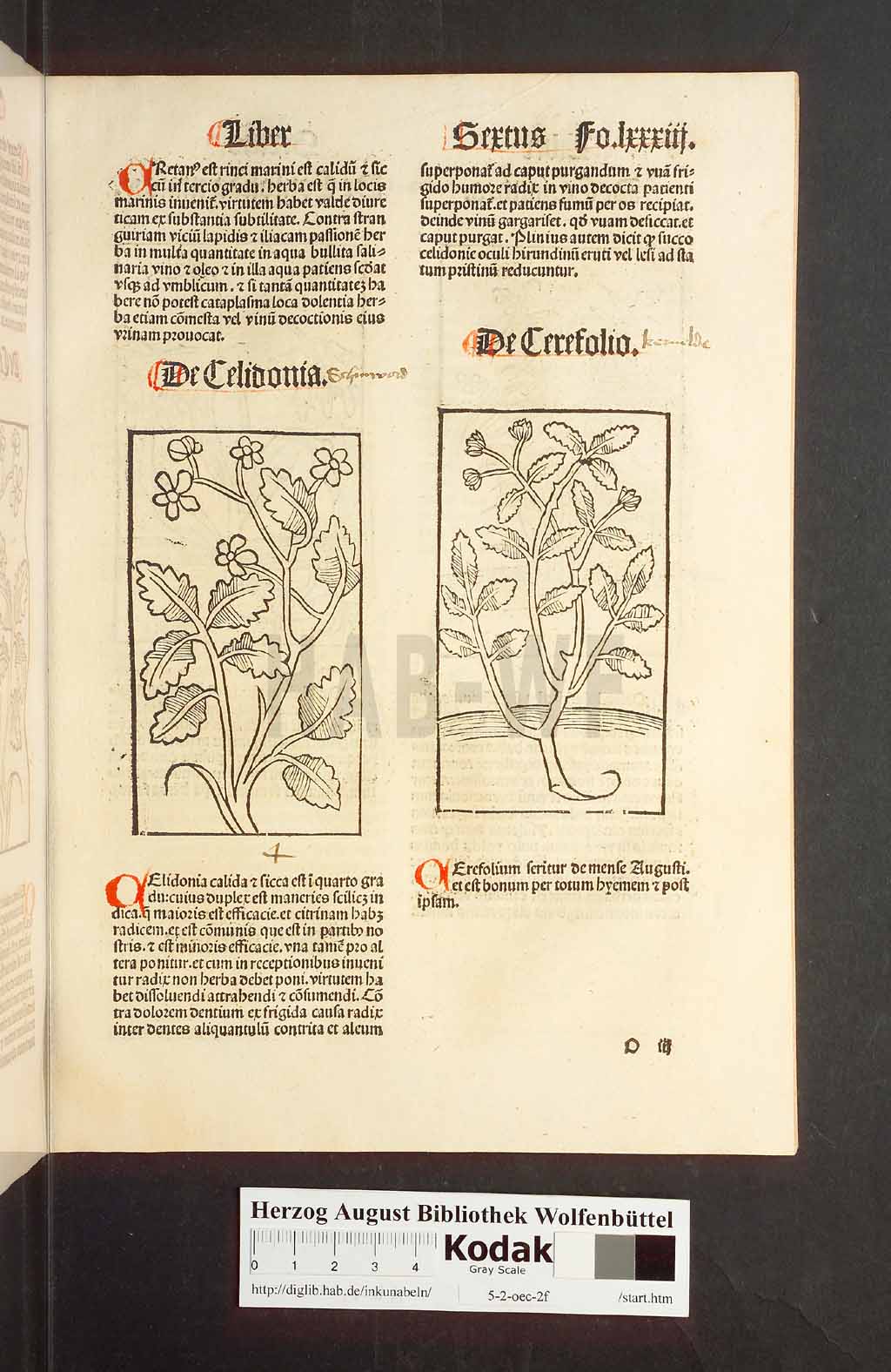 http://diglib.hab.de/inkunabeln/5-2-oec-2f/00169.jpg
