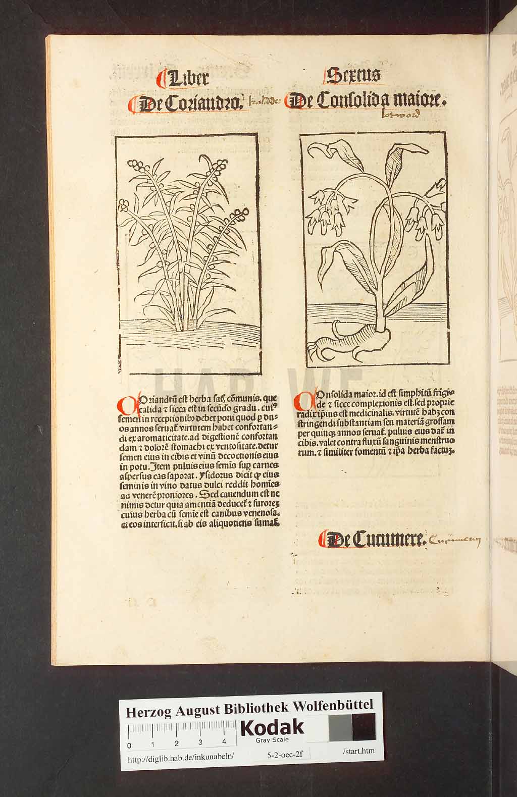 http://diglib.hab.de/inkunabeln/5-2-oec-2f/00170.jpg