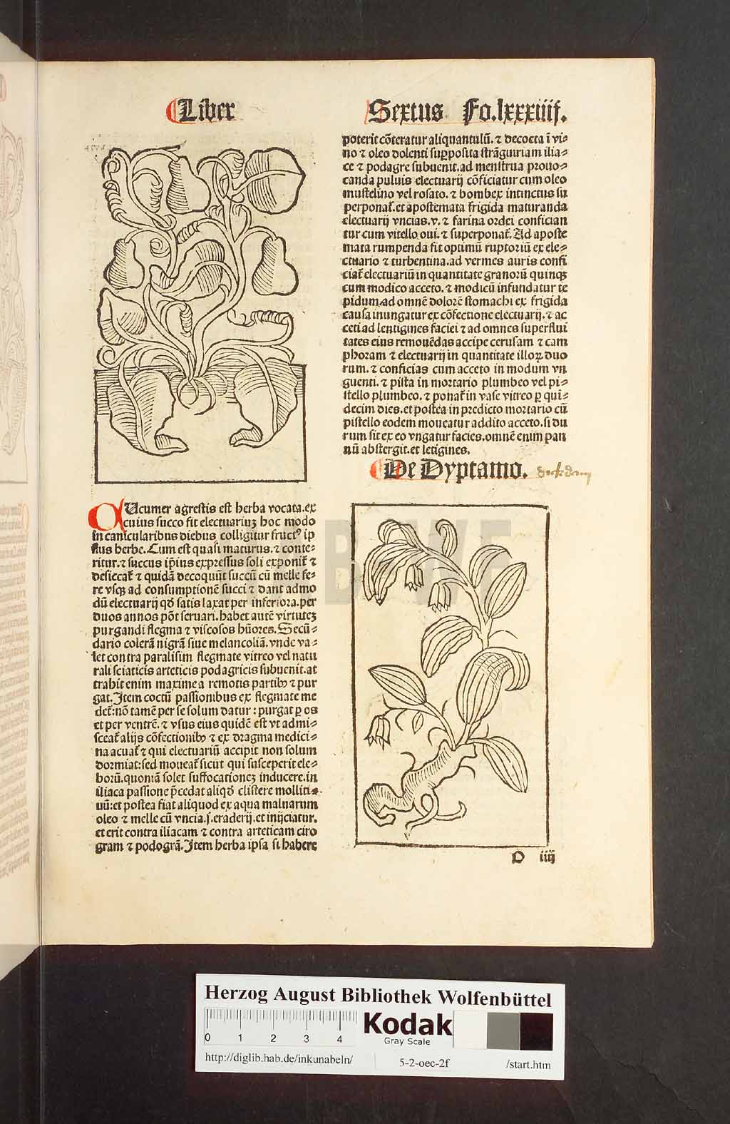 http://diglib.hab.de/inkunabeln/5-2-oec-2f/00171.jpg