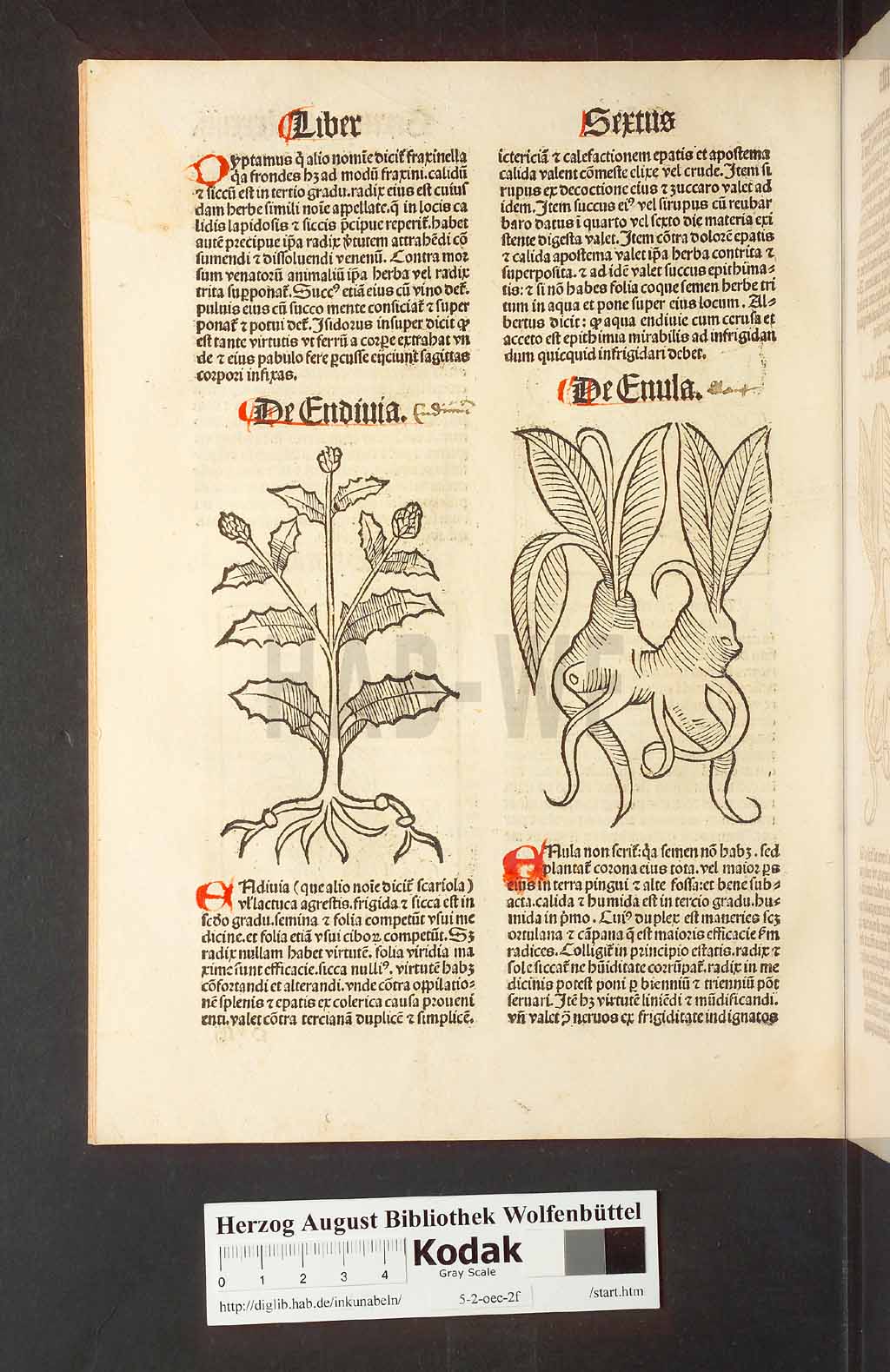 http://diglib.hab.de/inkunabeln/5-2-oec-2f/00172.jpg