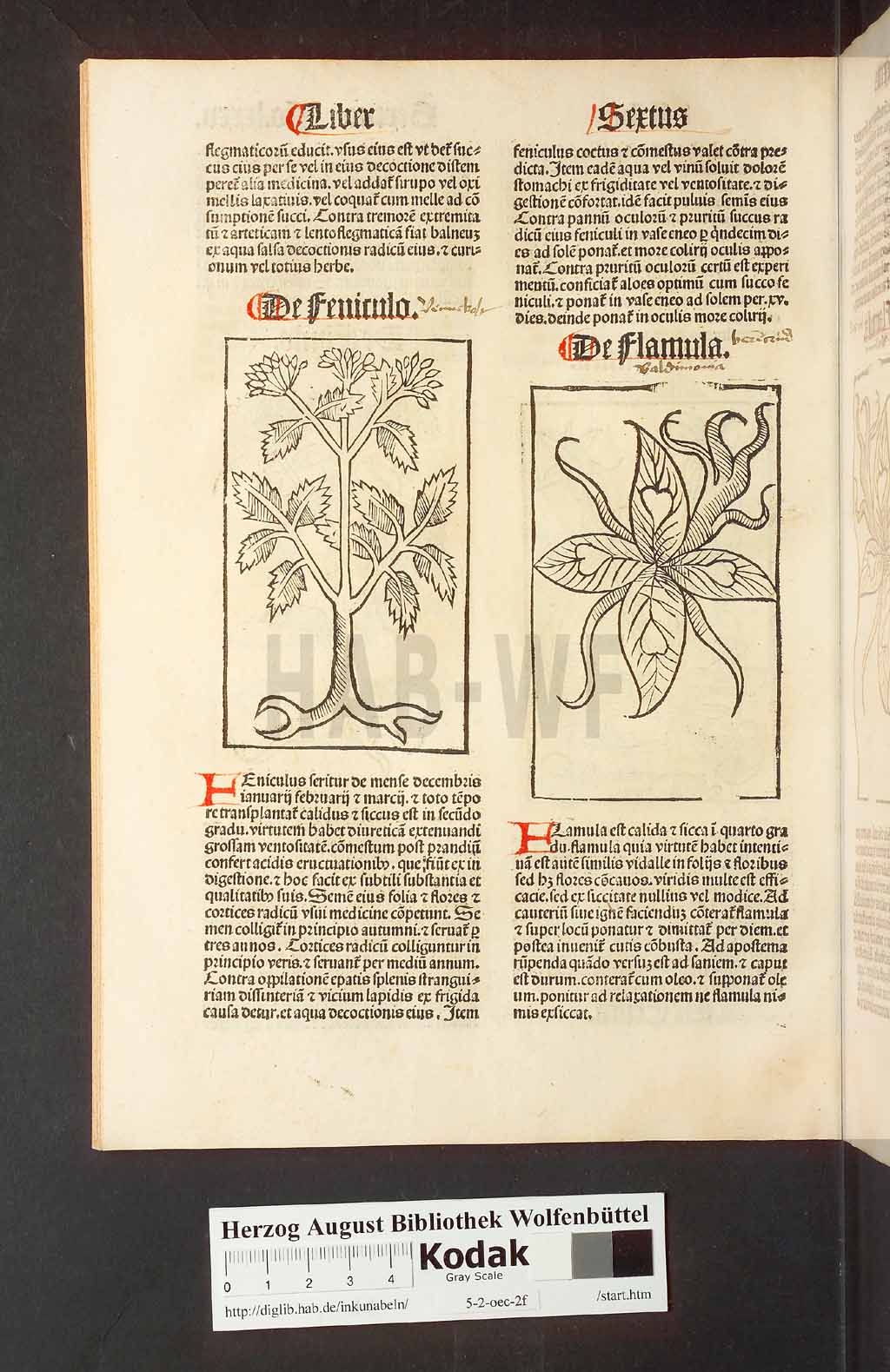 http://diglib.hab.de/inkunabeln/5-2-oec-2f/00174.jpg