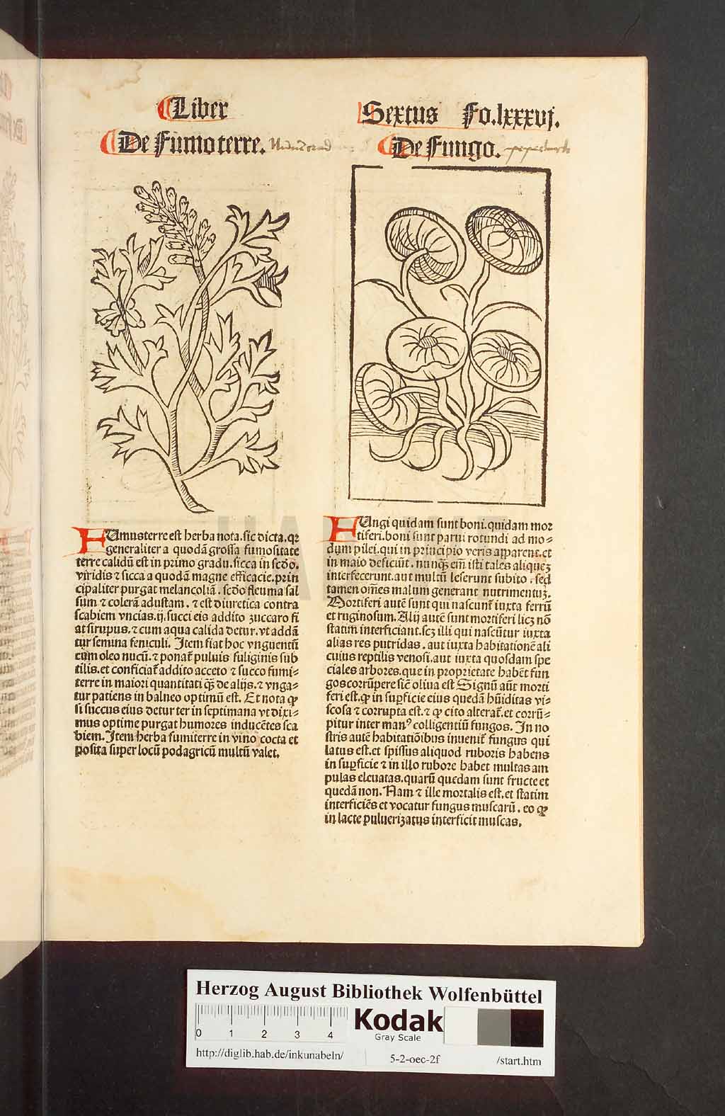 http://diglib.hab.de/inkunabeln/5-2-oec-2f/00175.jpg