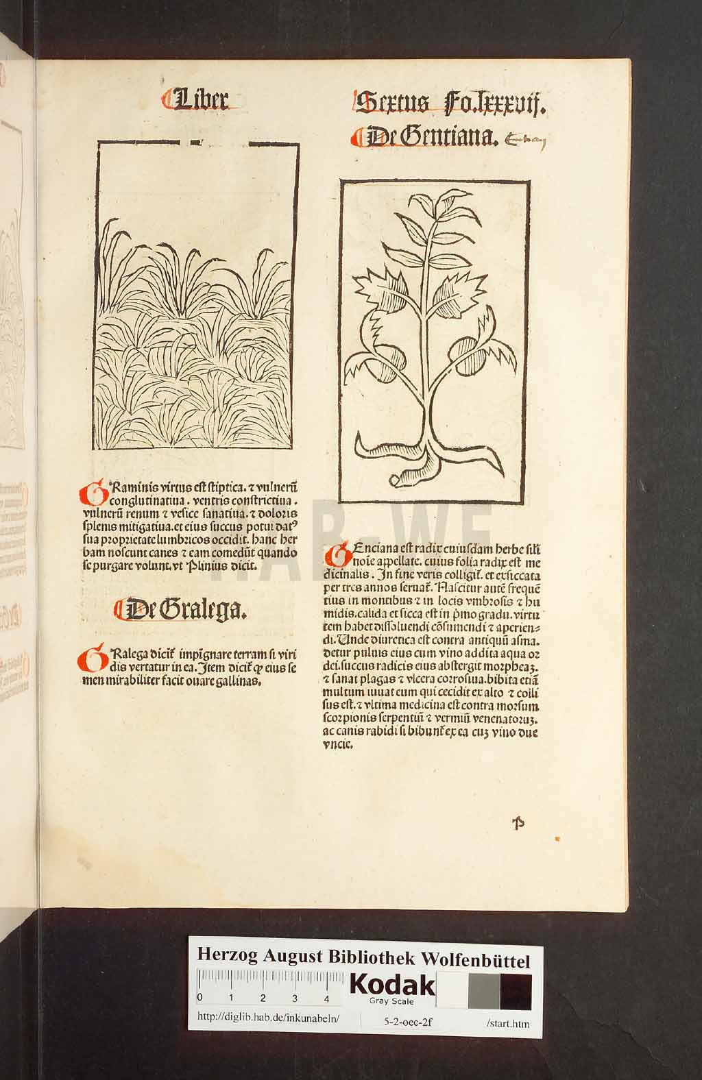 http://diglib.hab.de/inkunabeln/5-2-oec-2f/00177.jpg