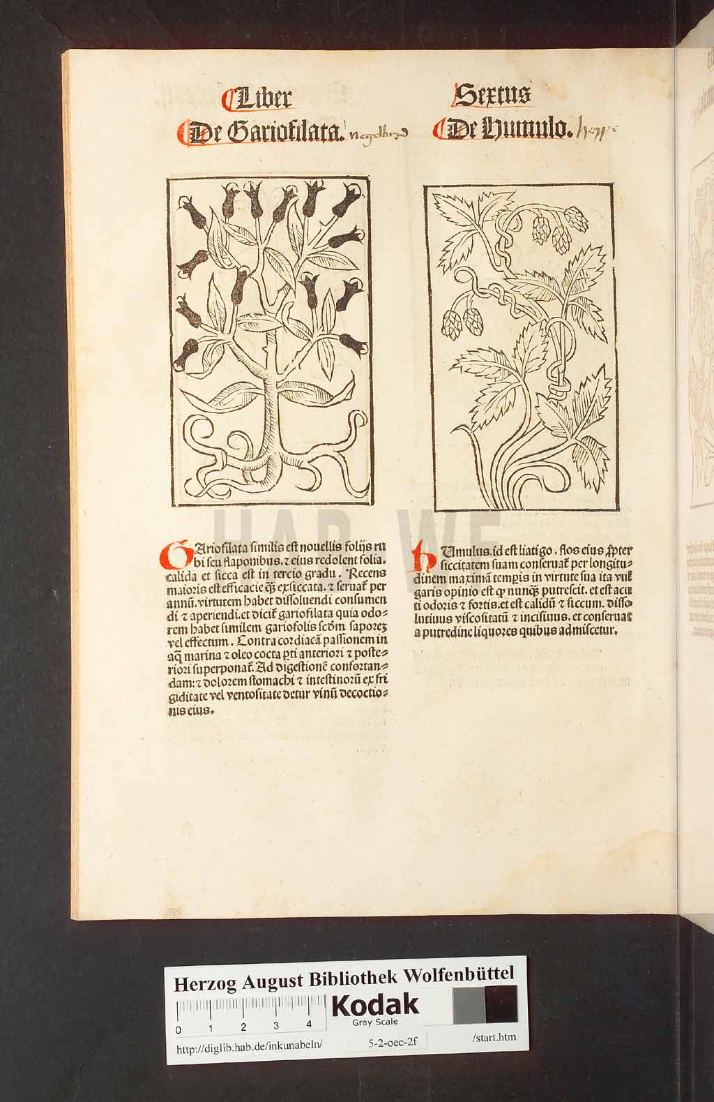 http://diglib.hab.de/inkunabeln/5-2-oec-2f/00178.jpg