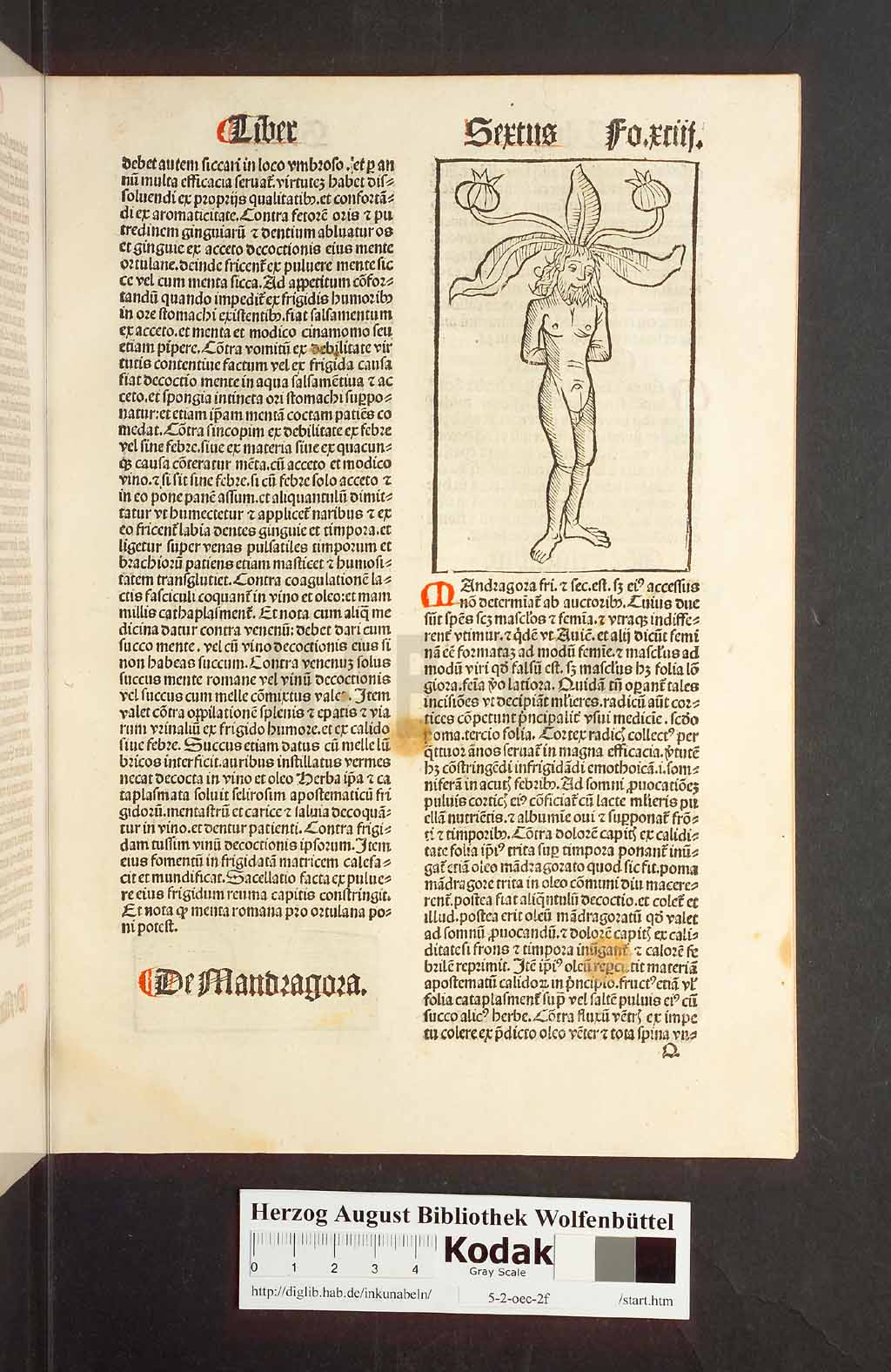 http://diglib.hab.de/inkunabeln/5-2-oec-2f/00189.jpg
