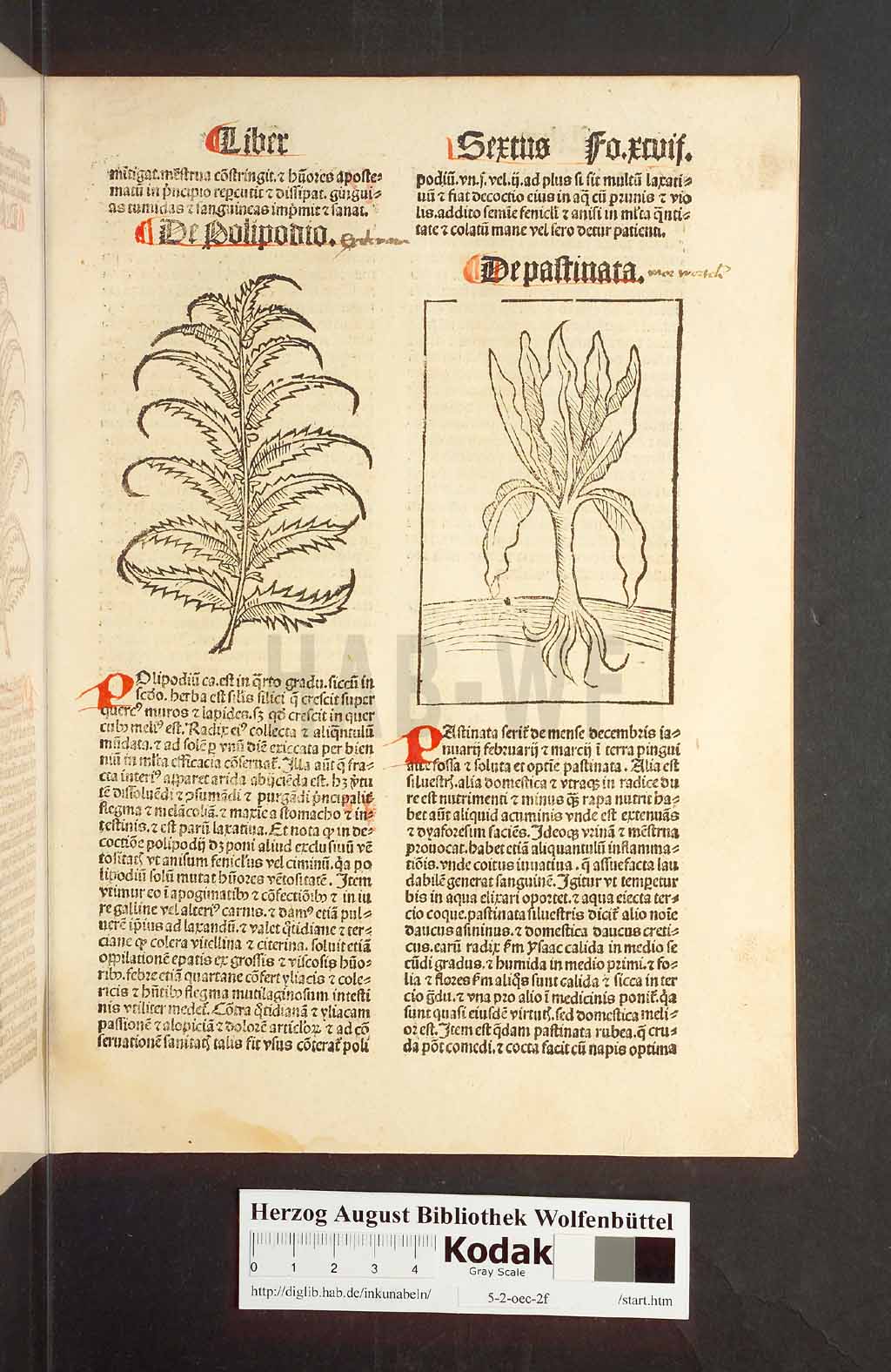 http://diglib.hab.de/inkunabeln/5-2-oec-2f/00197.jpg