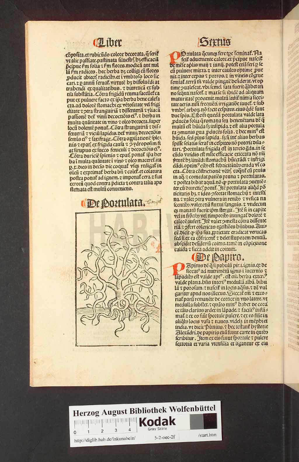 http://diglib.hab.de/inkunabeln/5-2-oec-2f/00198.jpg
