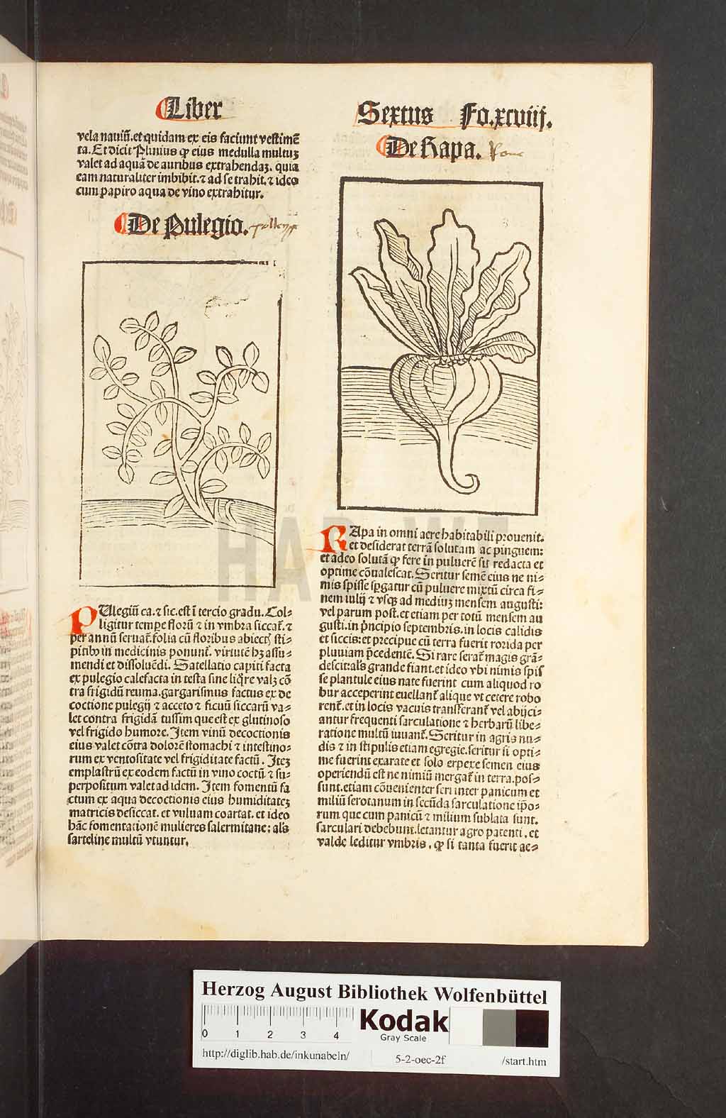 http://diglib.hab.de/inkunabeln/5-2-oec-2f/00199.jpg