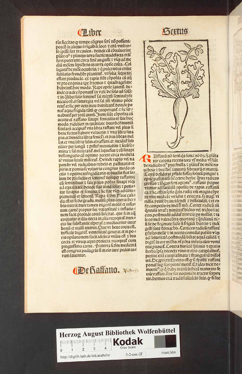 http://diglib.hab.de/inkunabeln/5-2-oec-2f/00200.jpg