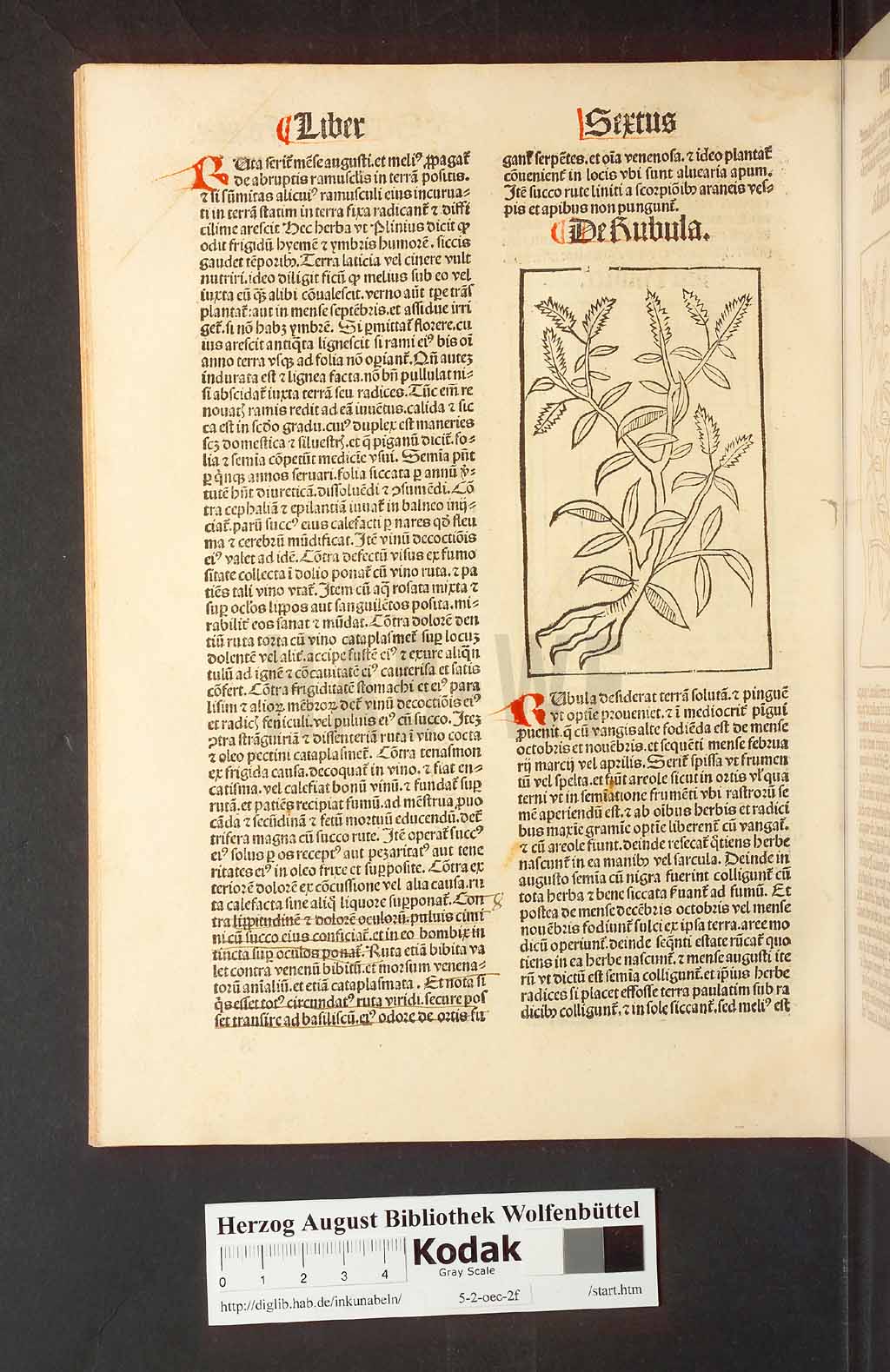 http://diglib.hab.de/inkunabeln/5-2-oec-2f/00202.jpg