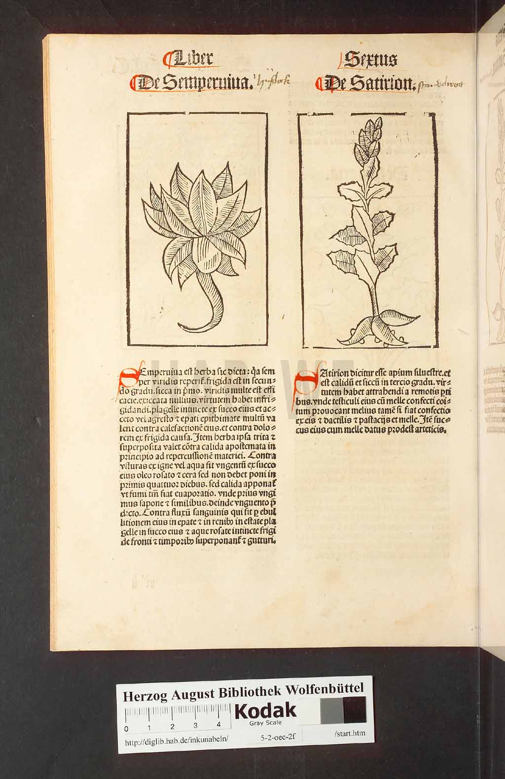 http://diglib.hab.de/inkunabeln/5-2-oec-2f/00204.jpg