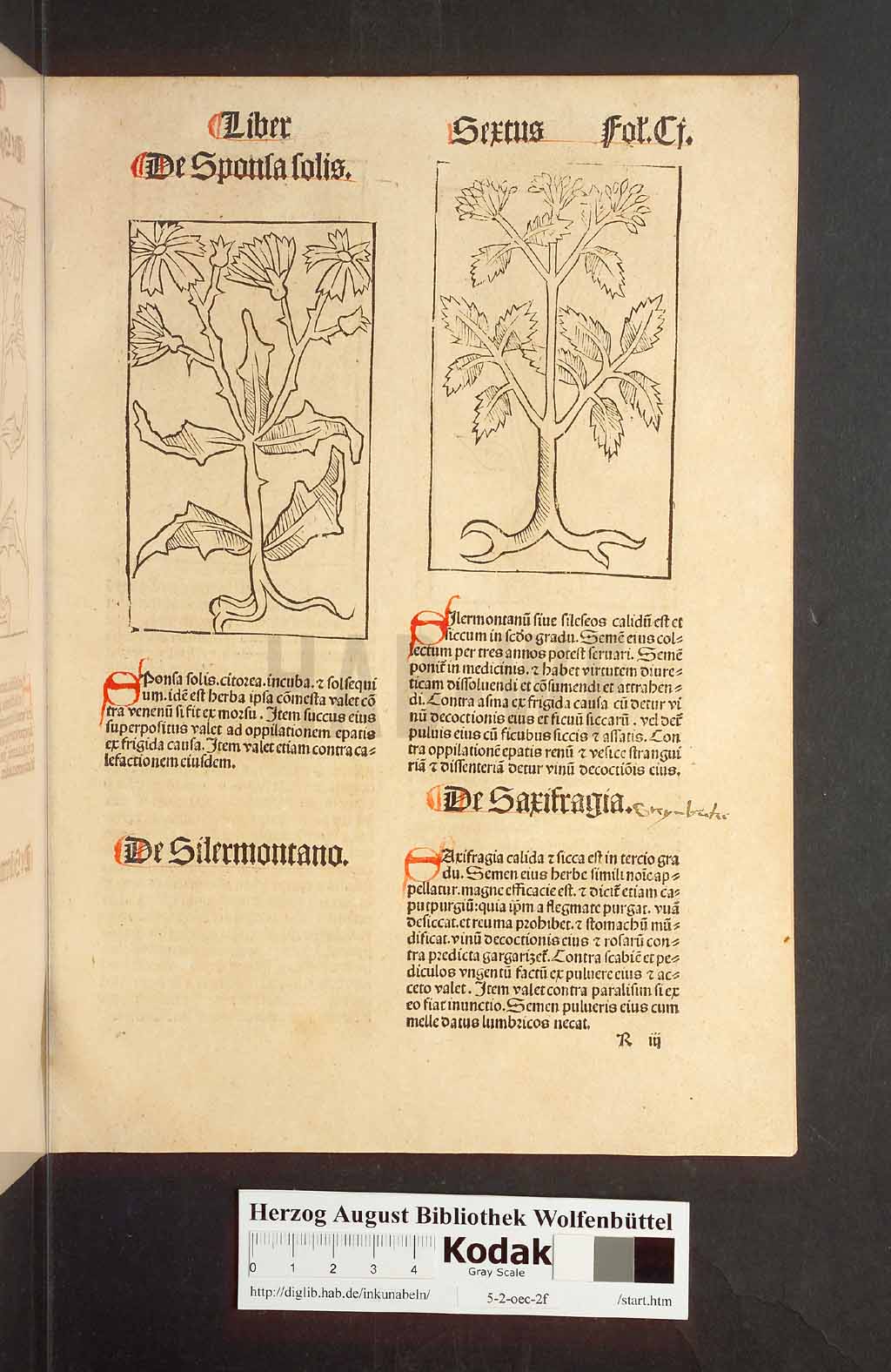 http://diglib.hab.de/inkunabeln/5-2-oec-2f/00205.jpg