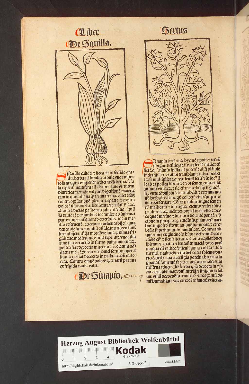 http://diglib.hab.de/inkunabeln/5-2-oec-2f/00206.jpg