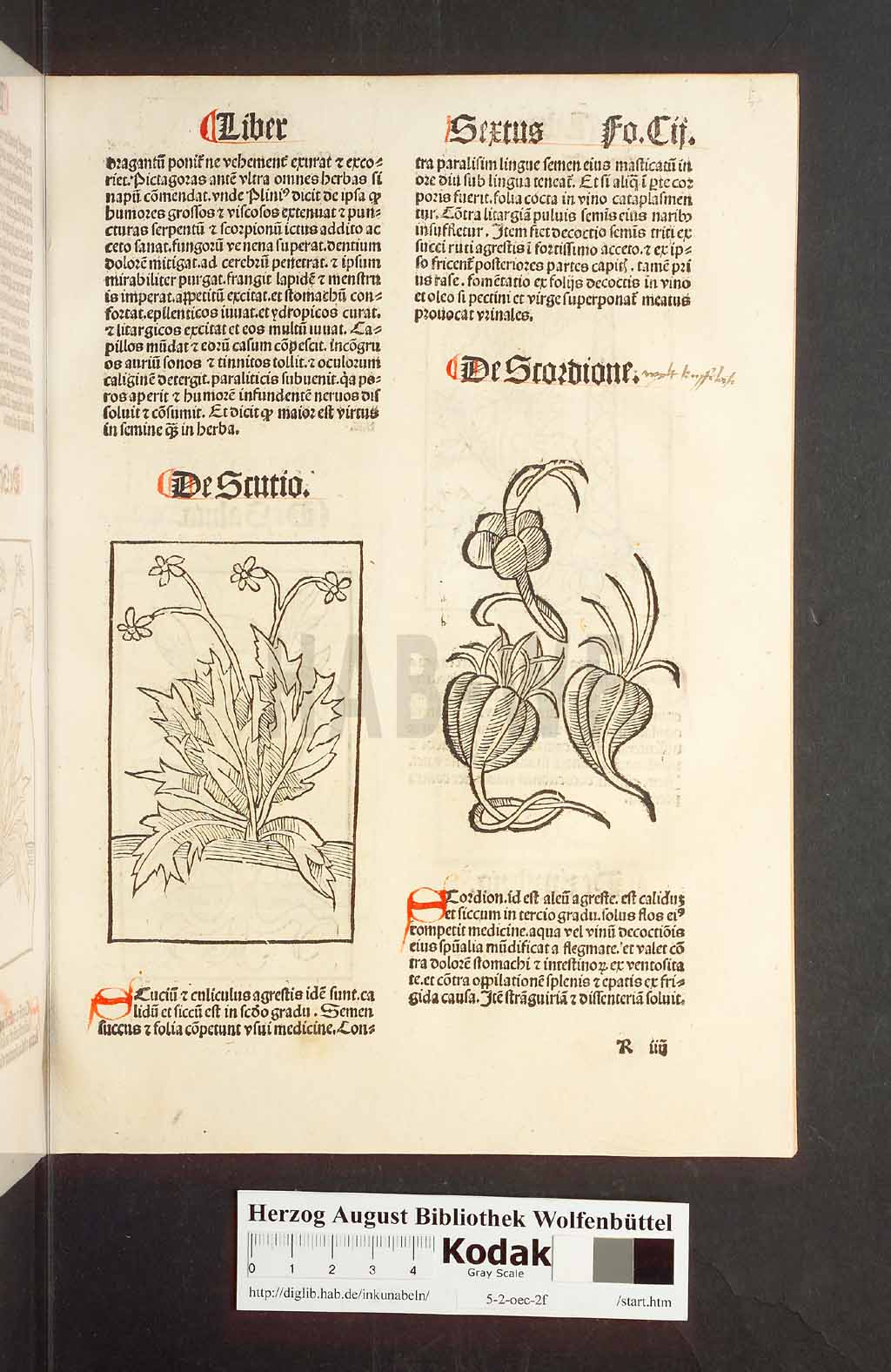 http://diglib.hab.de/inkunabeln/5-2-oec-2f/00207.jpg