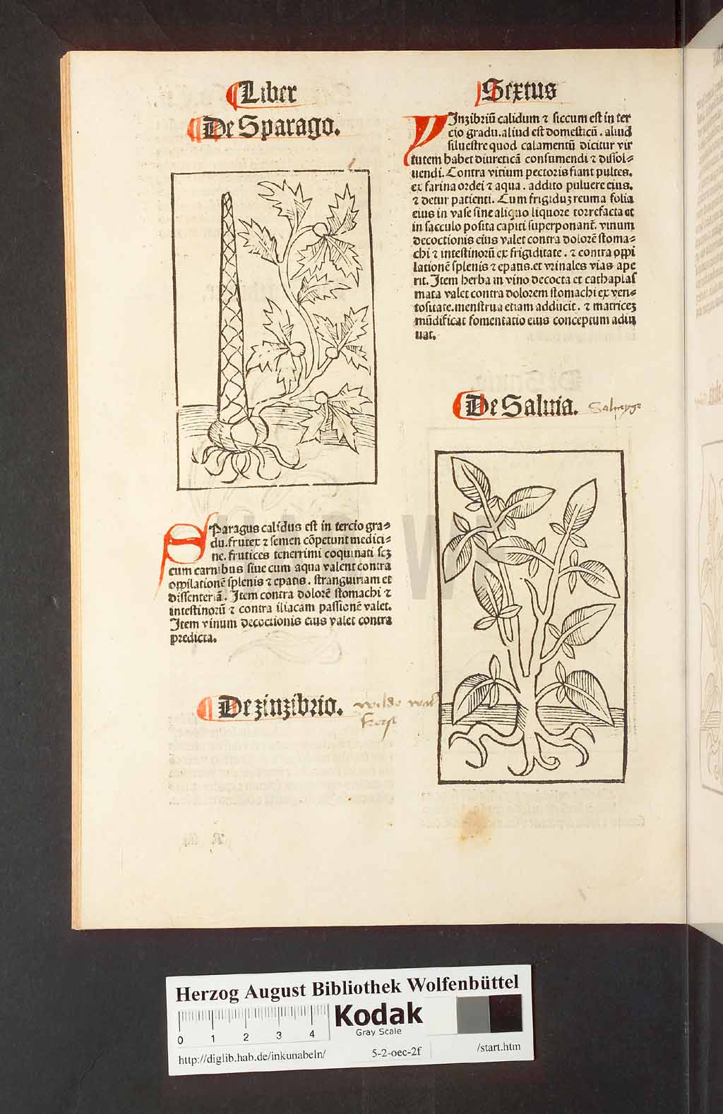 http://diglib.hab.de/inkunabeln/5-2-oec-2f/00208.jpg