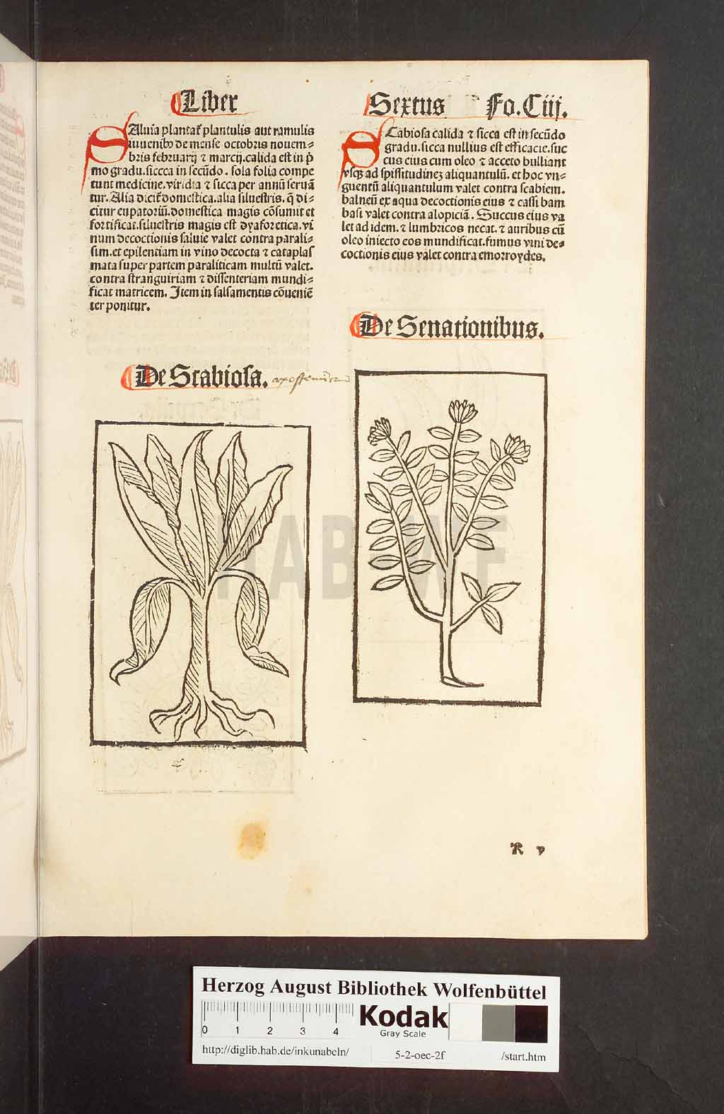 http://diglib.hab.de/inkunabeln/5-2-oec-2f/00209.jpg