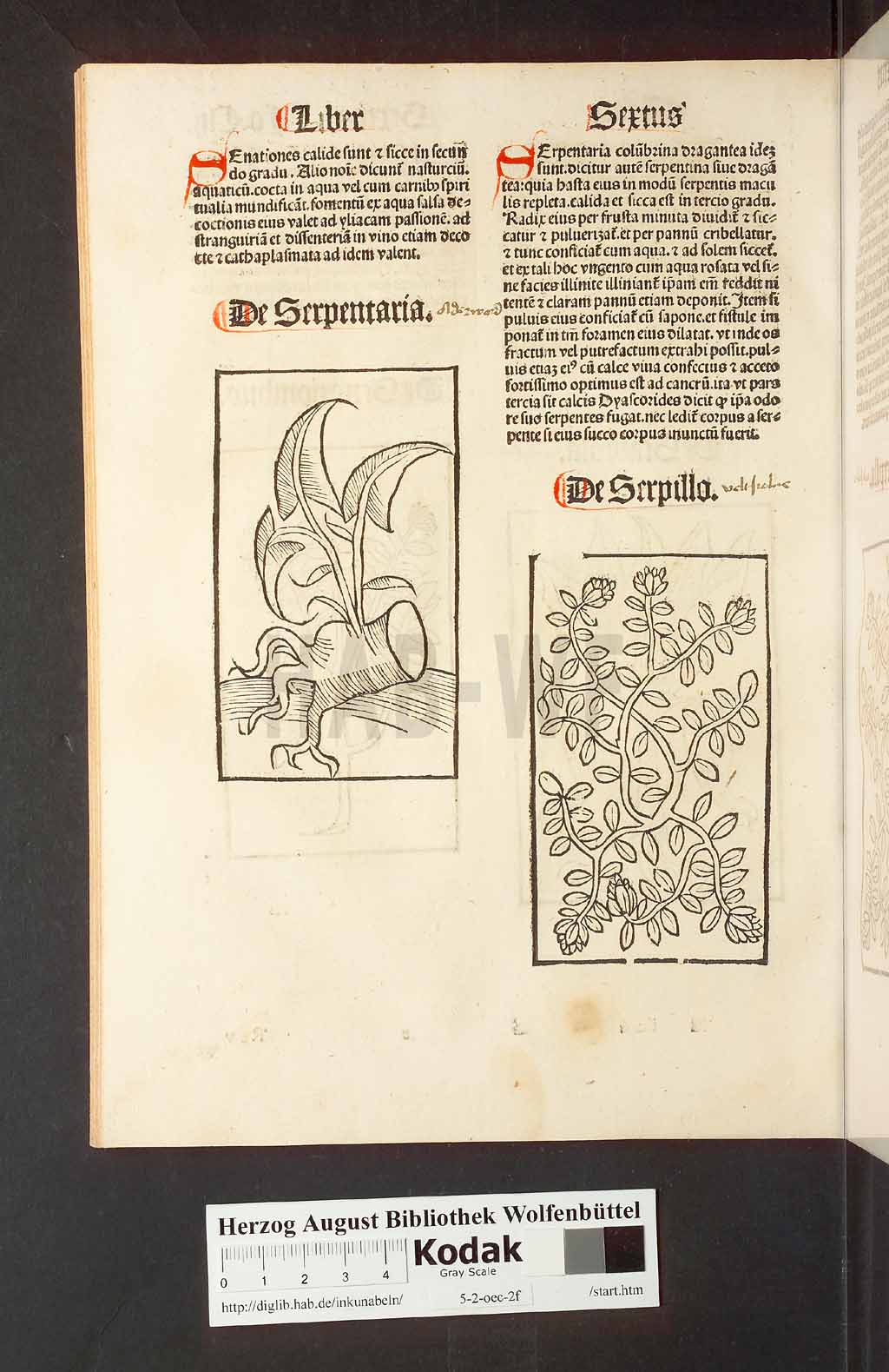 http://diglib.hab.de/inkunabeln/5-2-oec-2f/00210.jpg