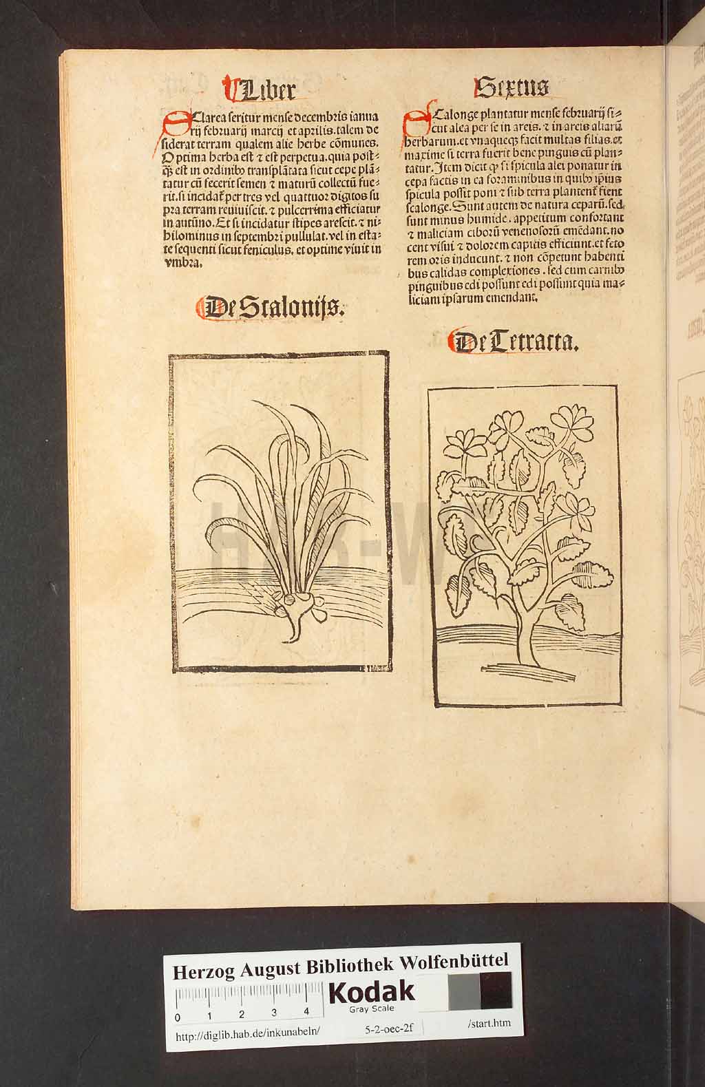 http://diglib.hab.de/inkunabeln/5-2-oec-2f/00212.jpg
