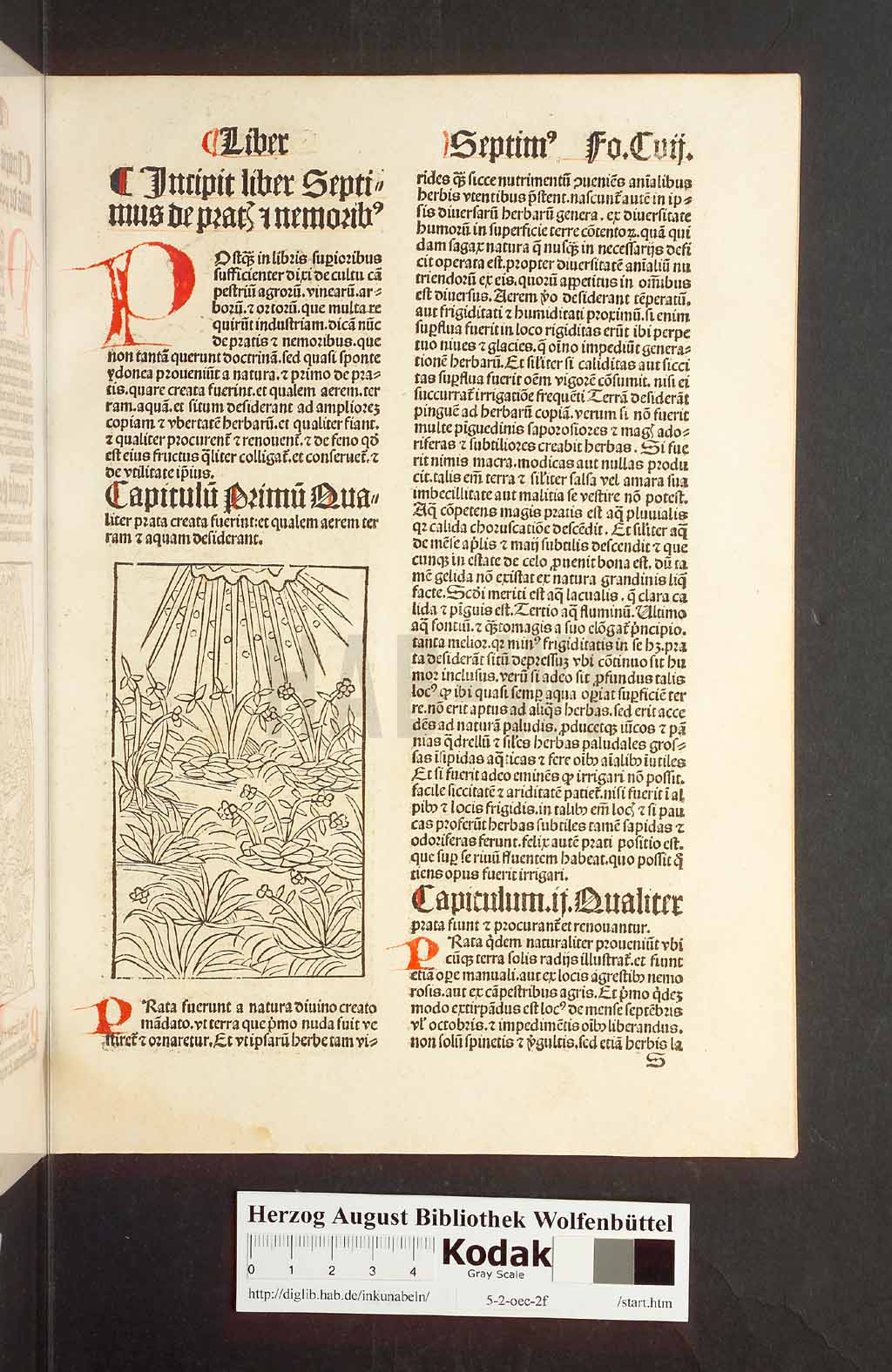 http://diglib.hab.de/inkunabeln/5-2-oec-2f/00217.jpg