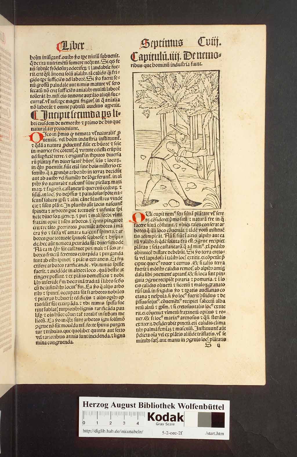 http://diglib.hab.de/inkunabeln/5-2-oec-2f/00219.jpg