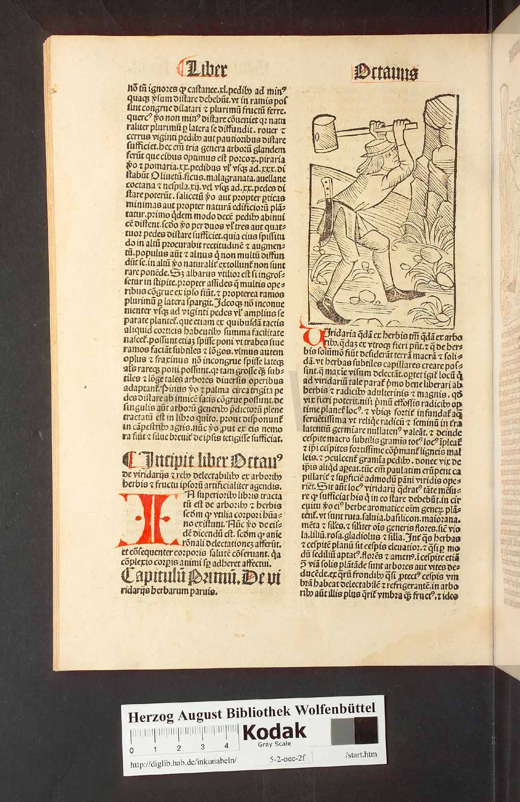 http://diglib.hab.de/inkunabeln/5-2-oec-2f/00220.jpg