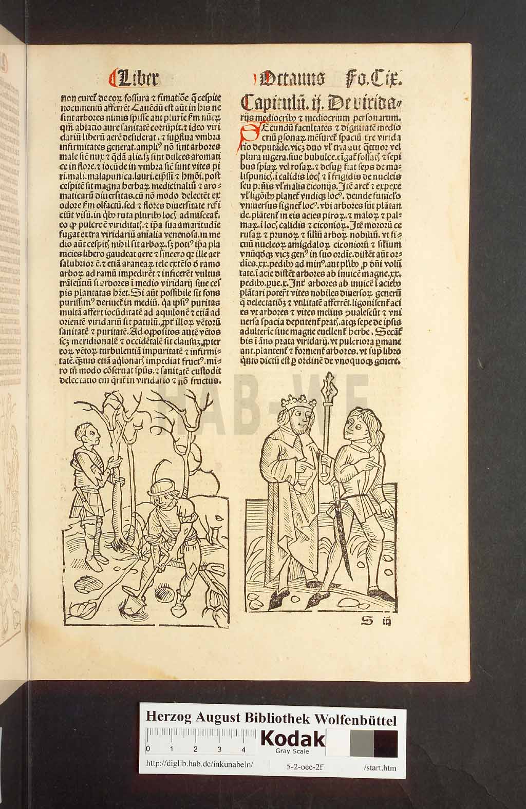 http://diglib.hab.de/inkunabeln/5-2-oec-2f/00221.jpg