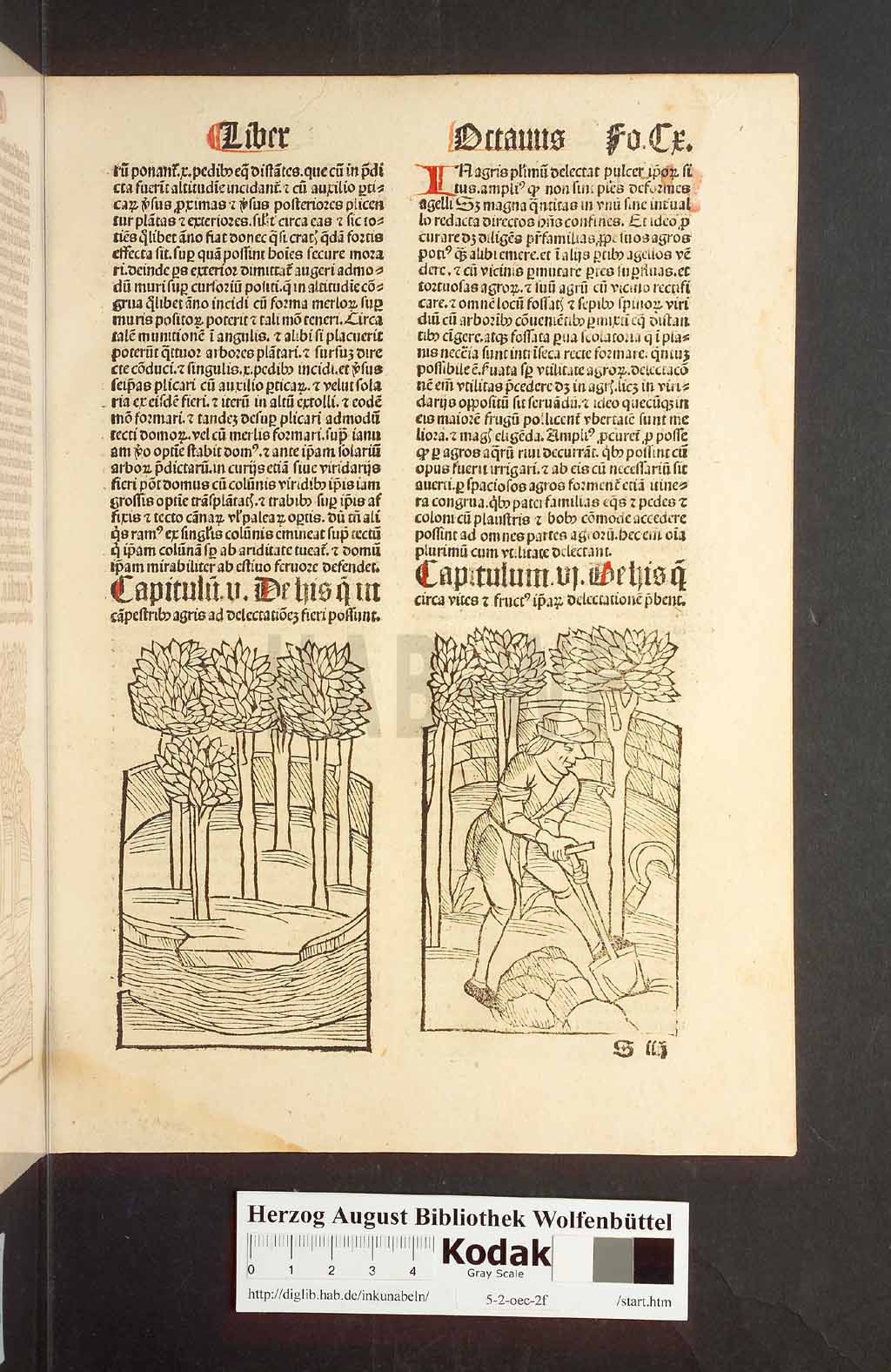 http://diglib.hab.de/inkunabeln/5-2-oec-2f/00223.jpg