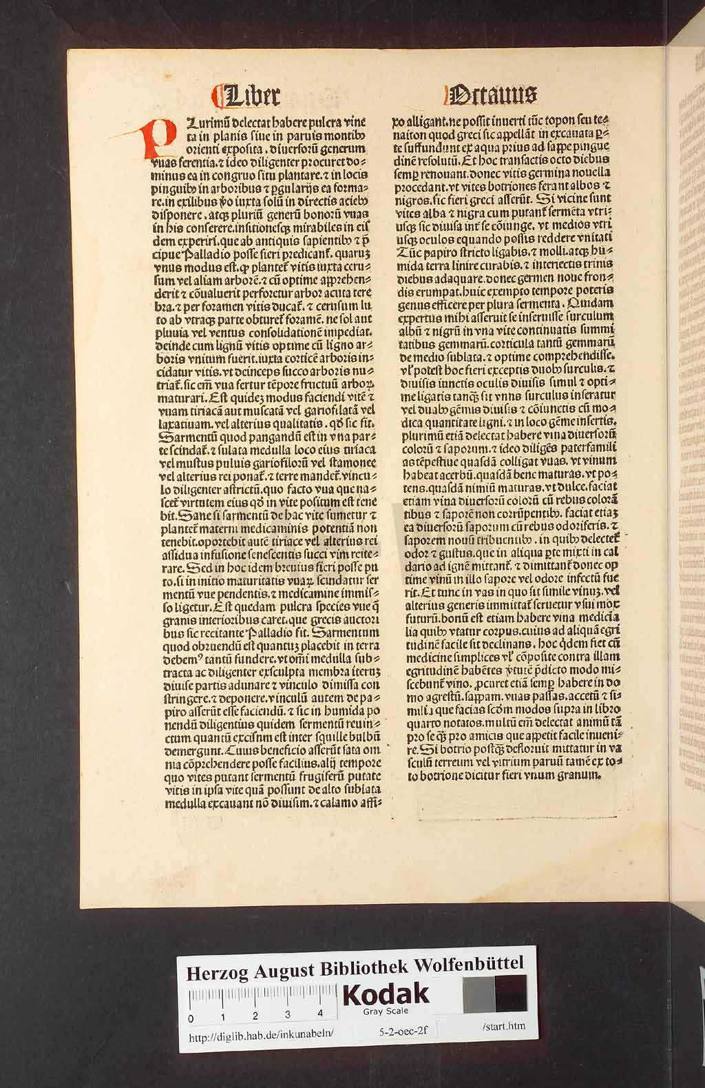 http://diglib.hab.de/inkunabeln/5-2-oec-2f/00224.jpg