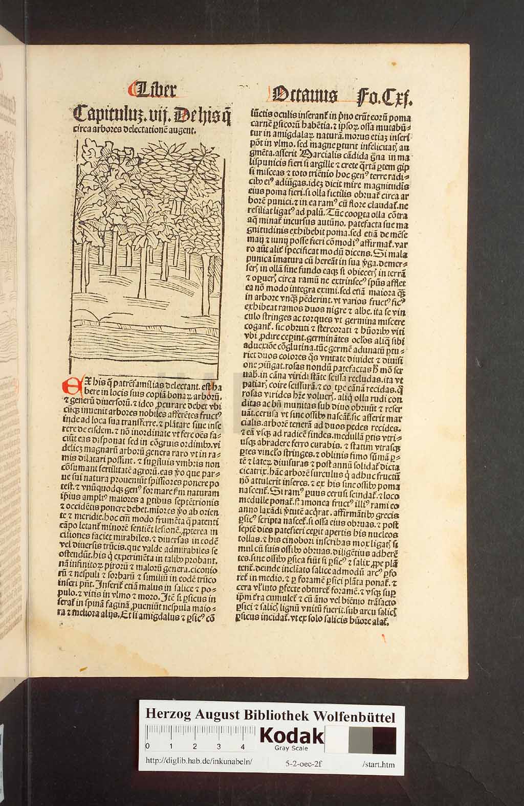 http://diglib.hab.de/inkunabeln/5-2-oec-2f/00225.jpg