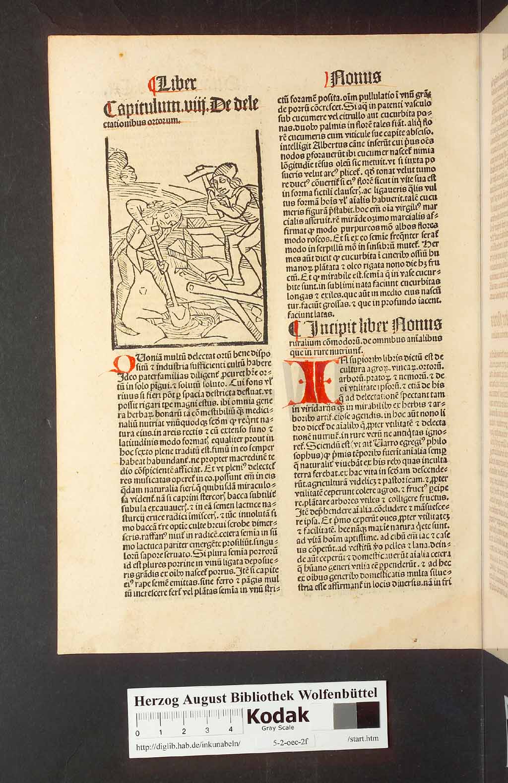 http://diglib.hab.de/inkunabeln/5-2-oec-2f/00226.jpg