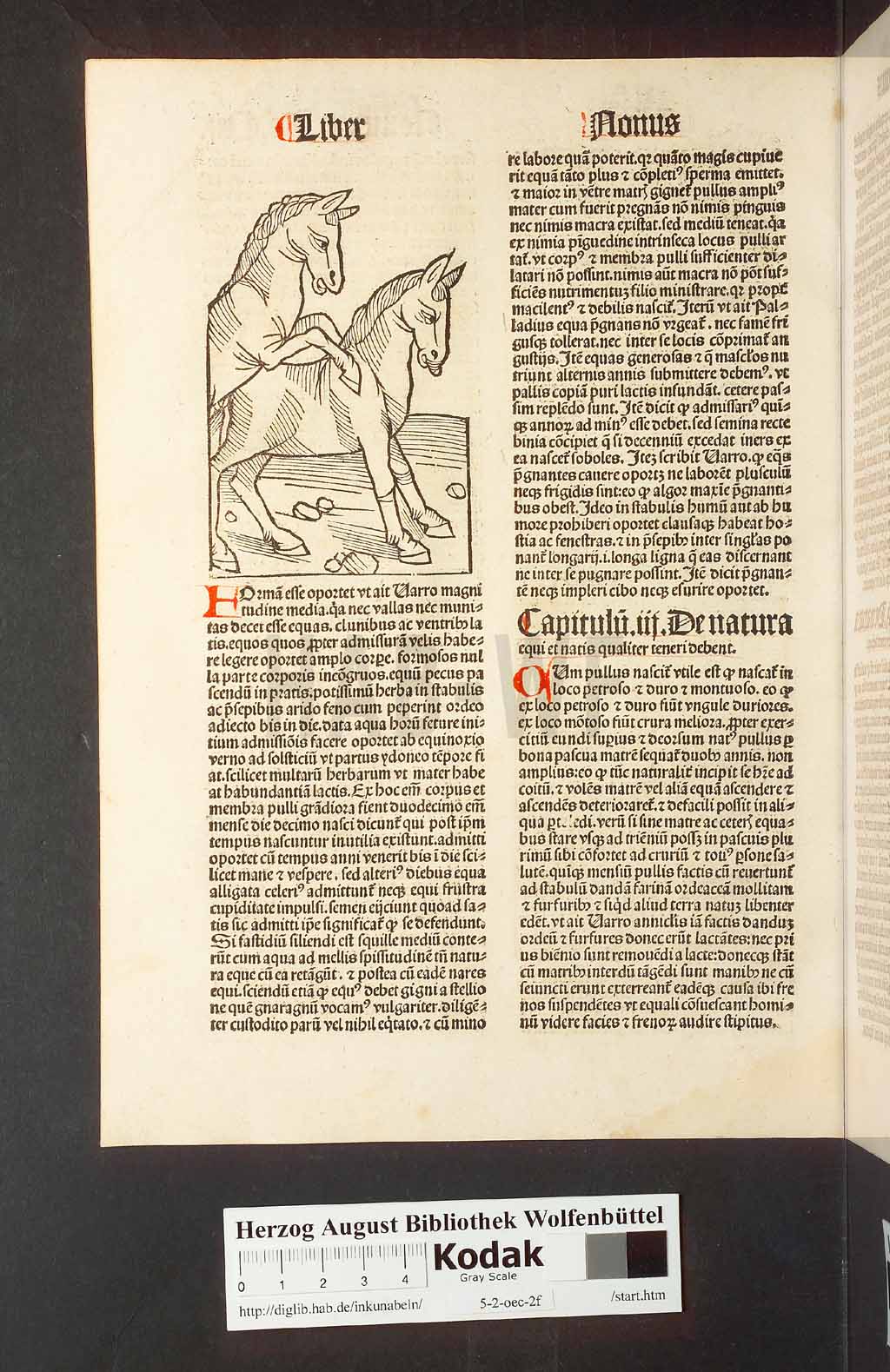 http://diglib.hab.de/inkunabeln/5-2-oec-2f/00228.jpg