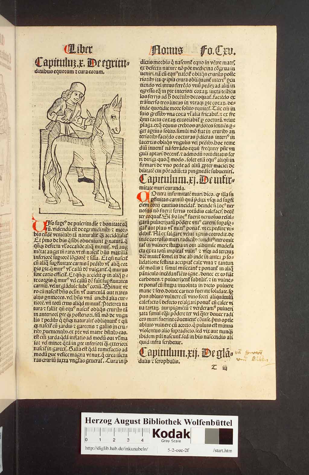 http://diglib.hab.de/inkunabeln/5-2-oec-2f/00233.jpg
