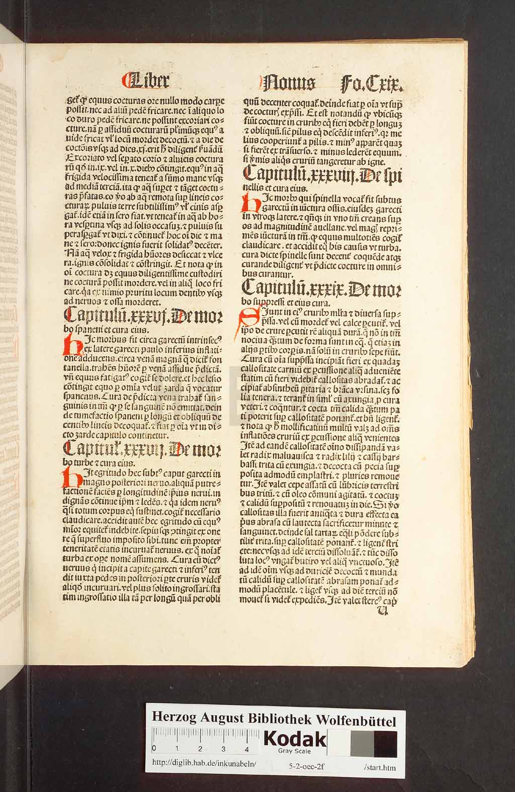 http://diglib.hab.de/inkunabeln/5-2-oec-2f/00241.jpg