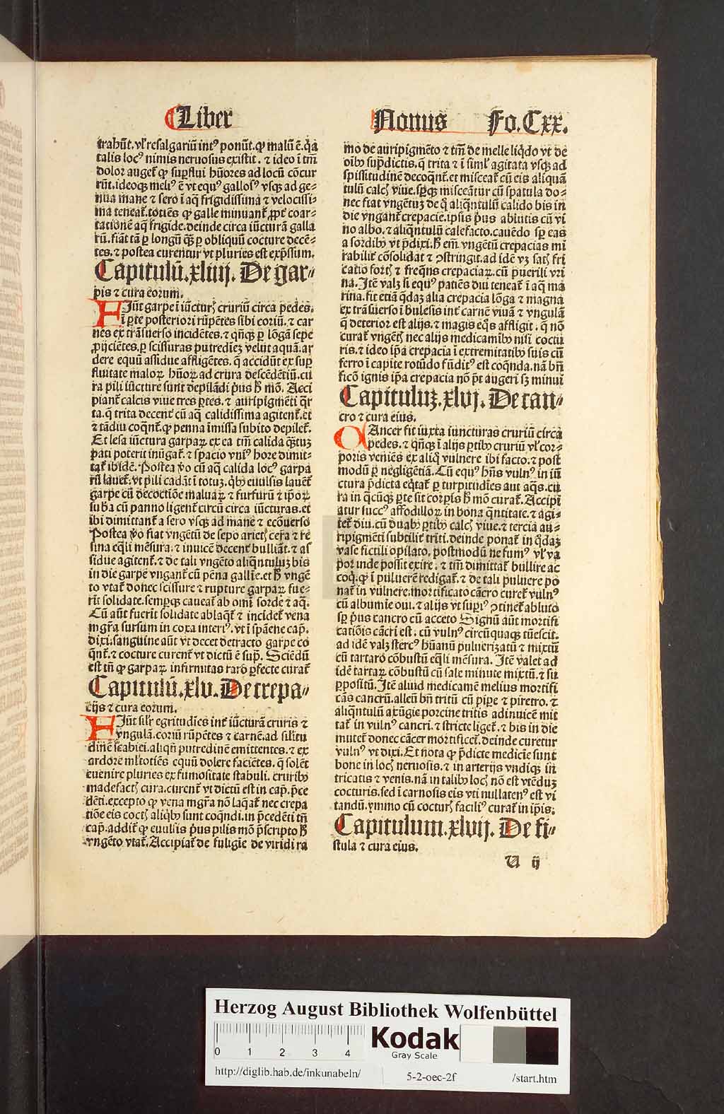 http://diglib.hab.de/inkunabeln/5-2-oec-2f/00243.jpg