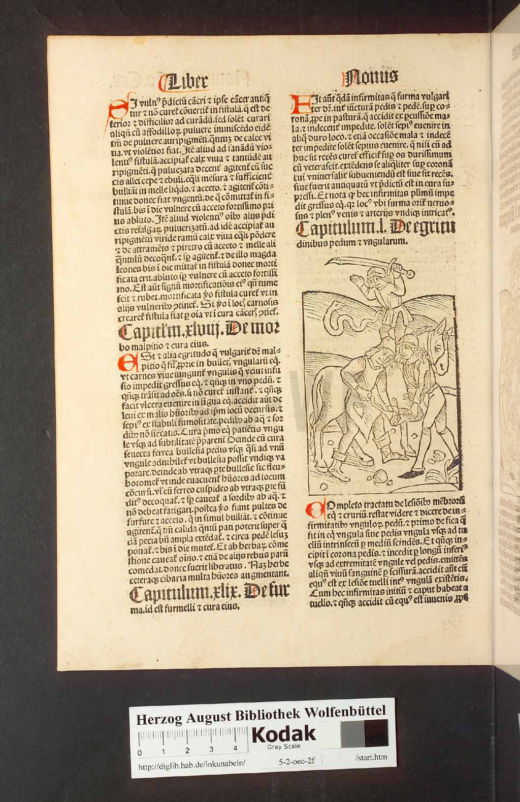 http://diglib.hab.de/inkunabeln/5-2-oec-2f/00244.jpg